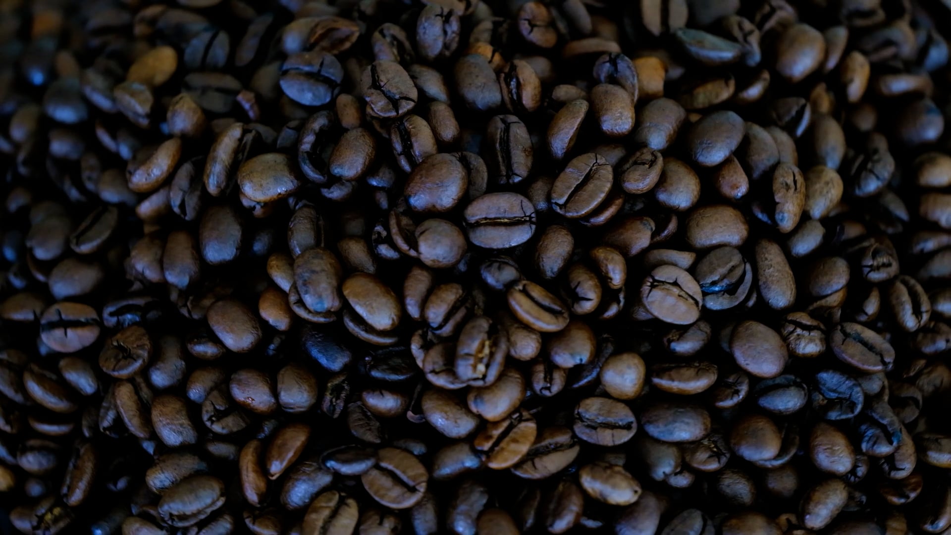 coffee — free pixabay stock footage