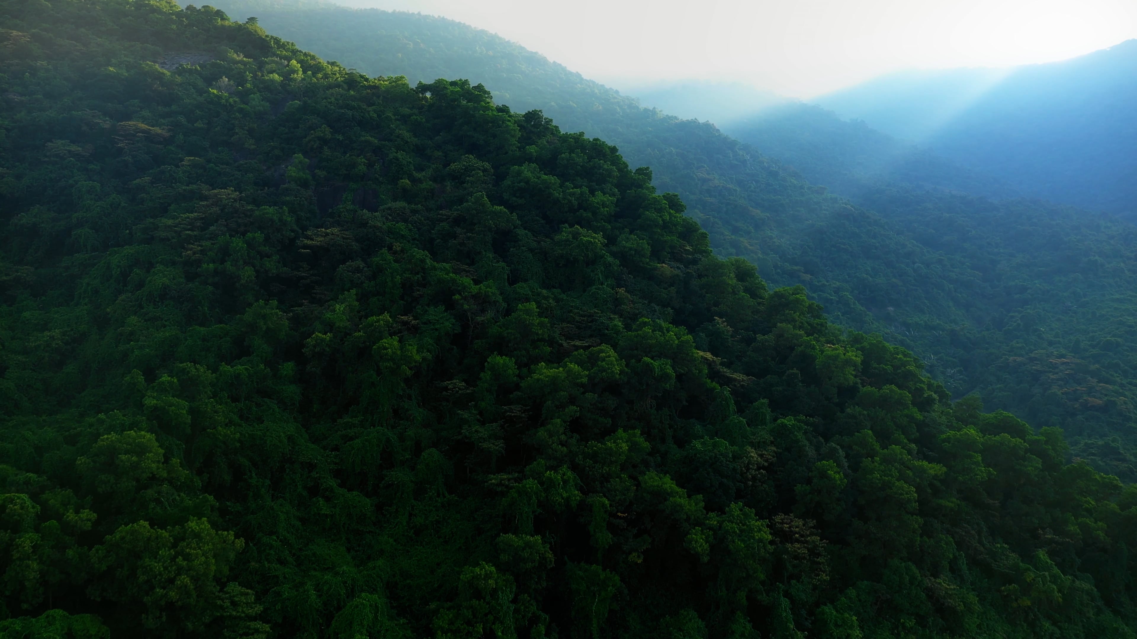 amazon — free pixabay stock footage