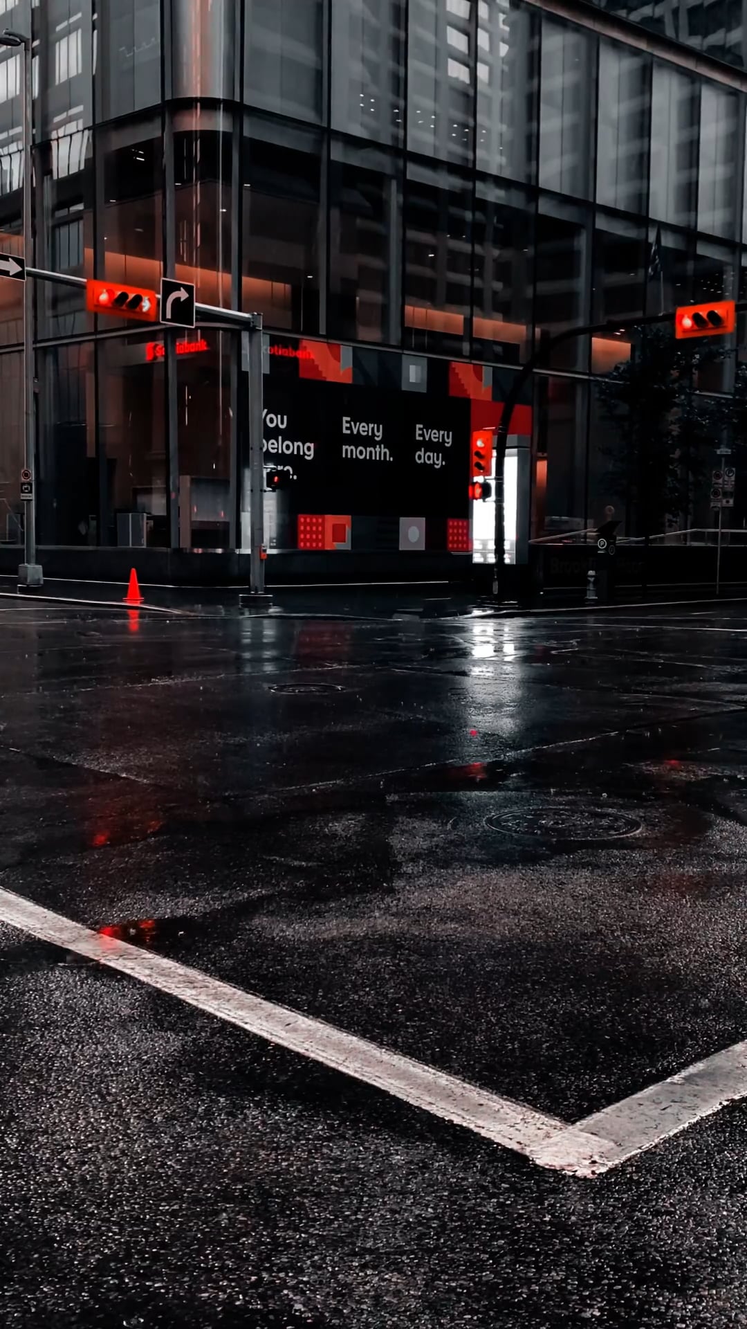 rain — free pixabay stock footage
