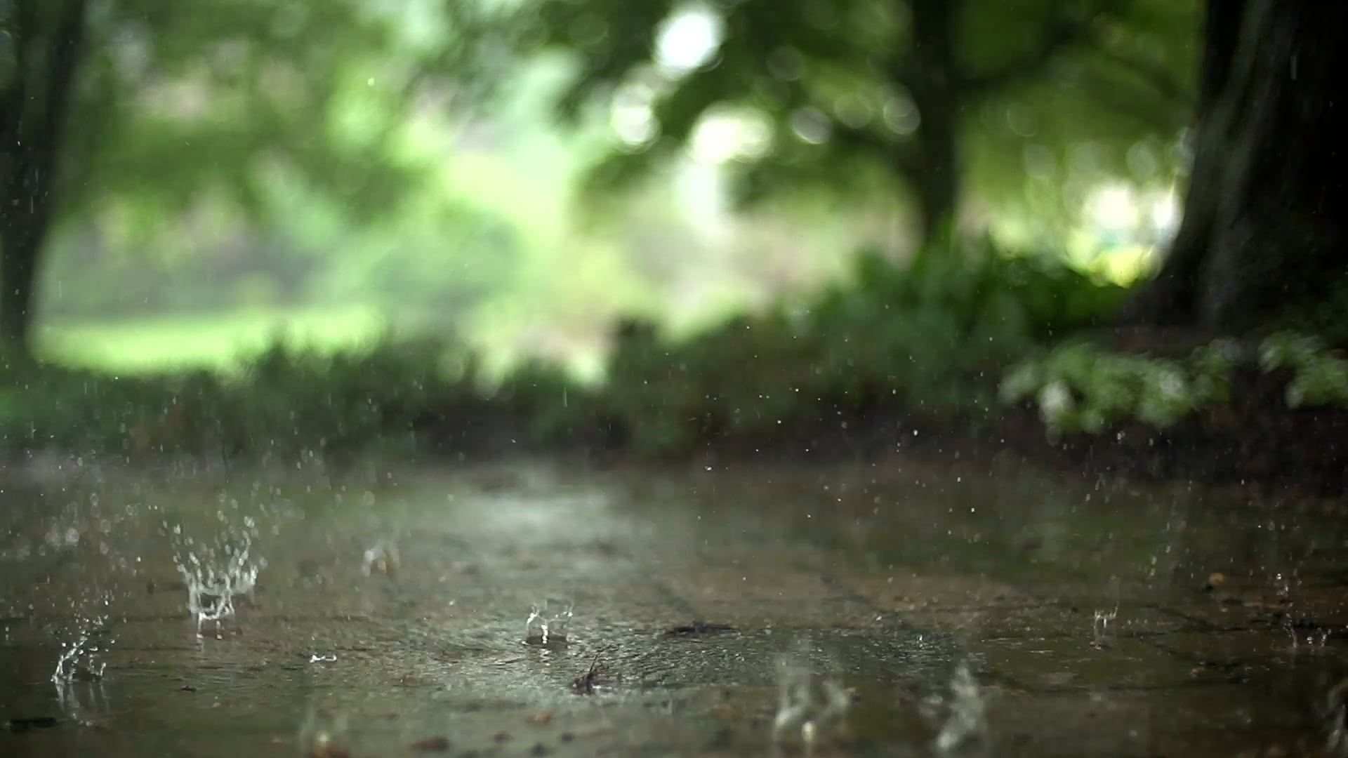 rain
