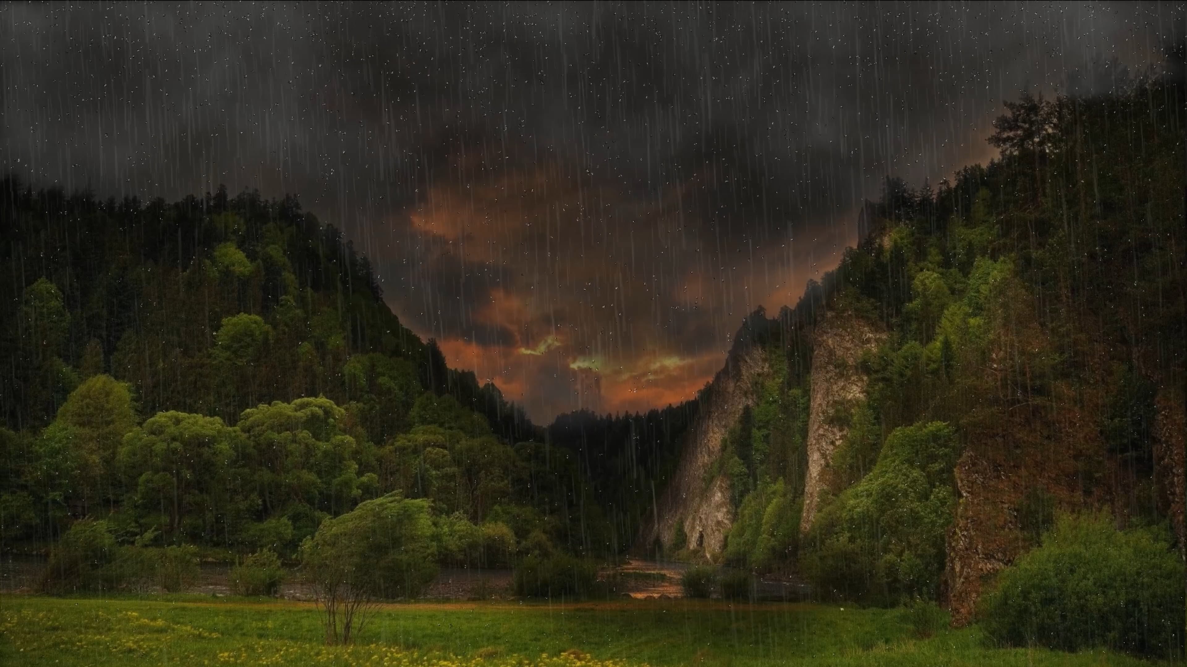 rain — free pixabay stock footage