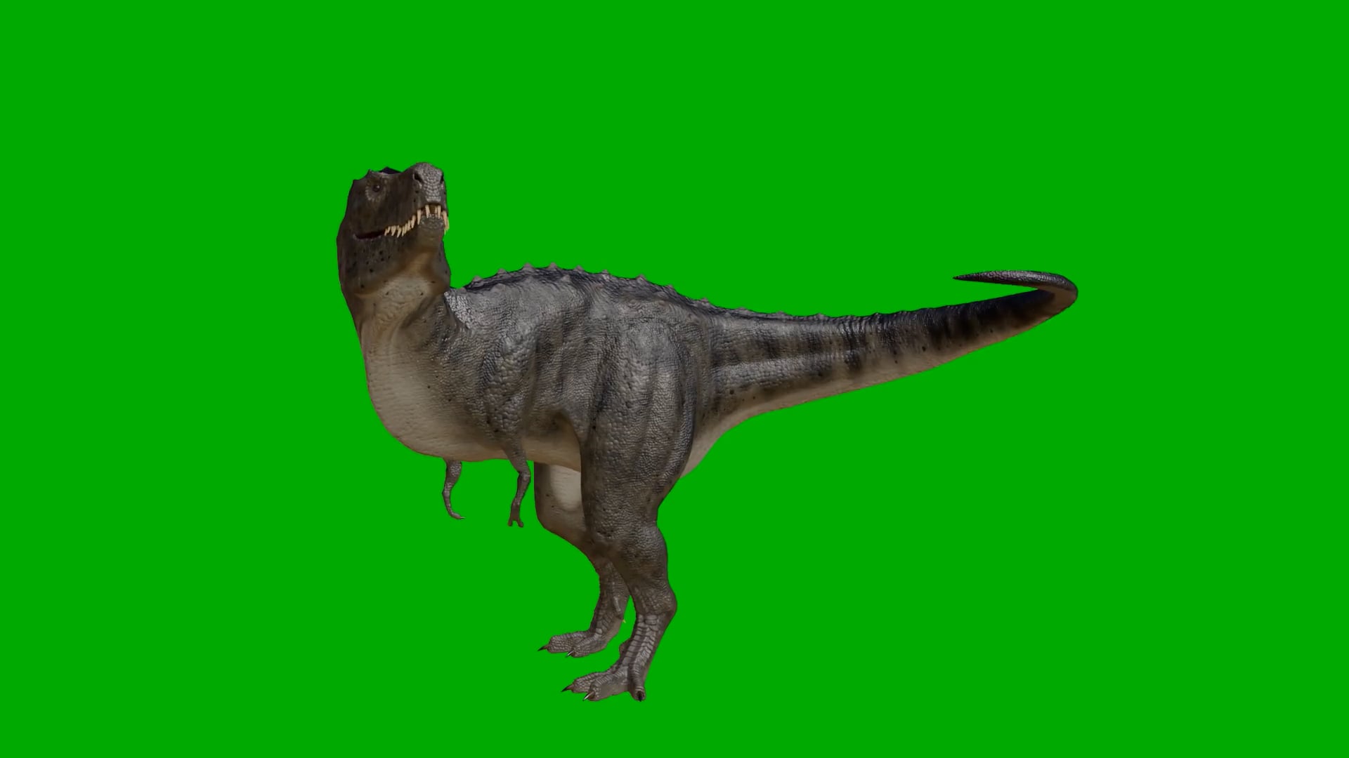 dinosaur — free pixabay stock footage