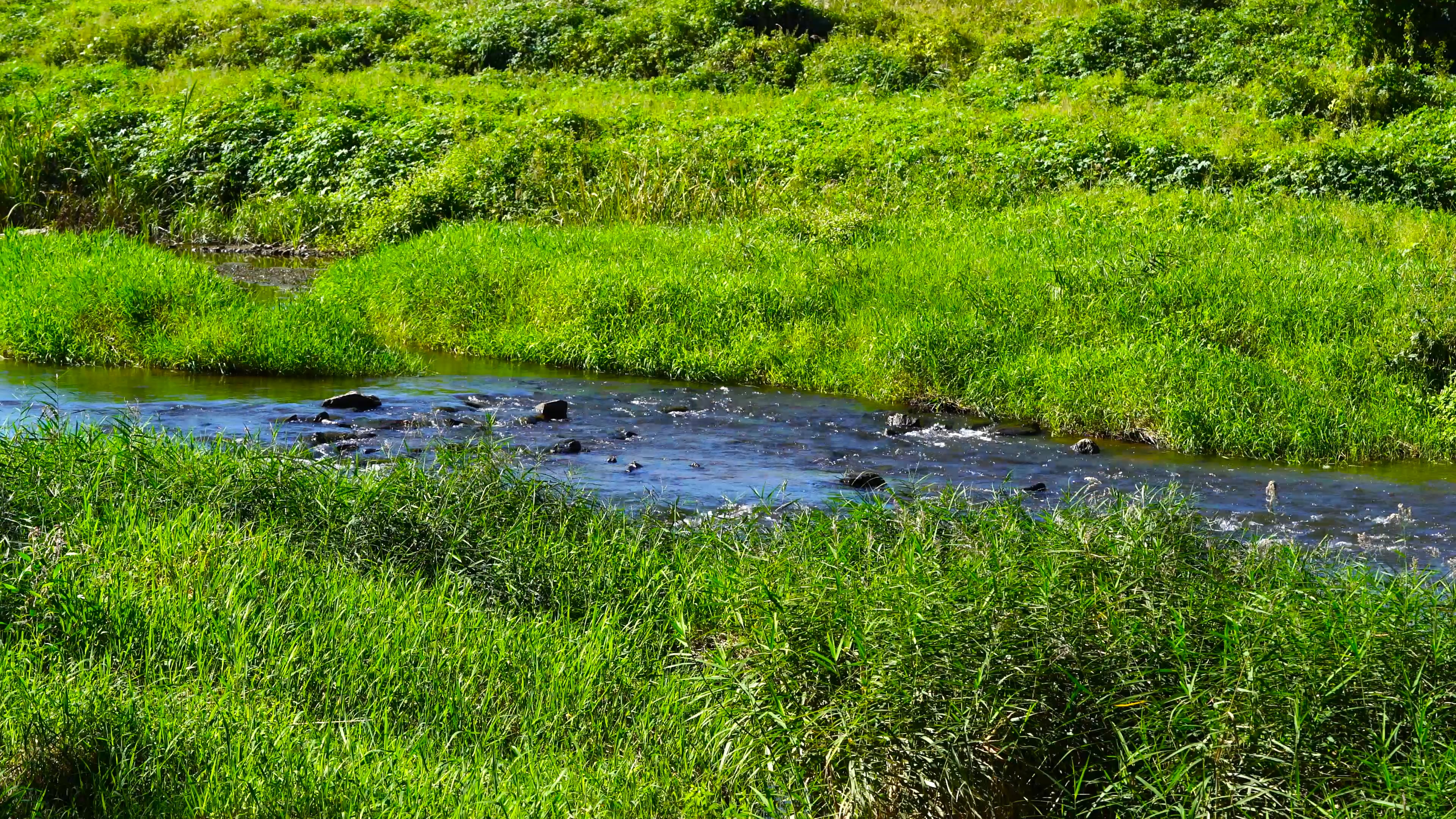 river — free pixabay stock footage