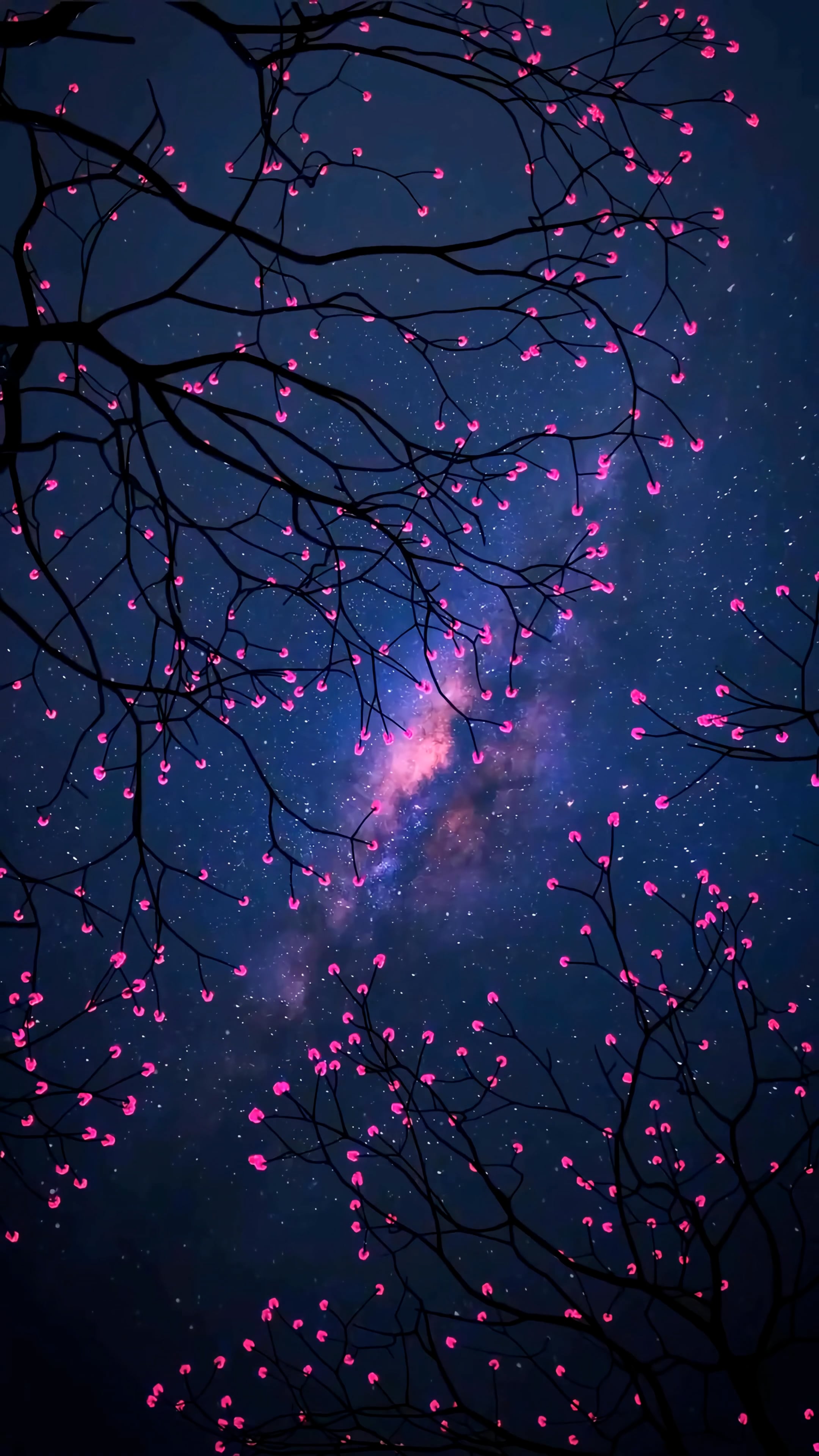 tree — free pixabay stock footage