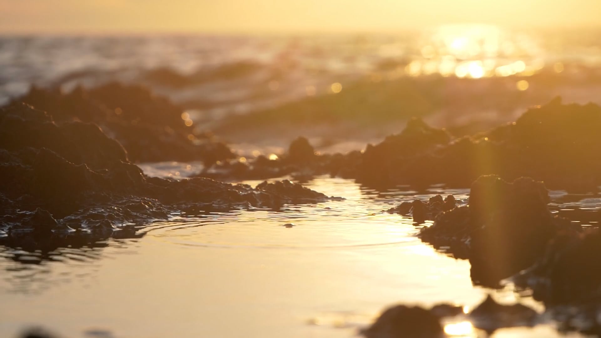 ocean