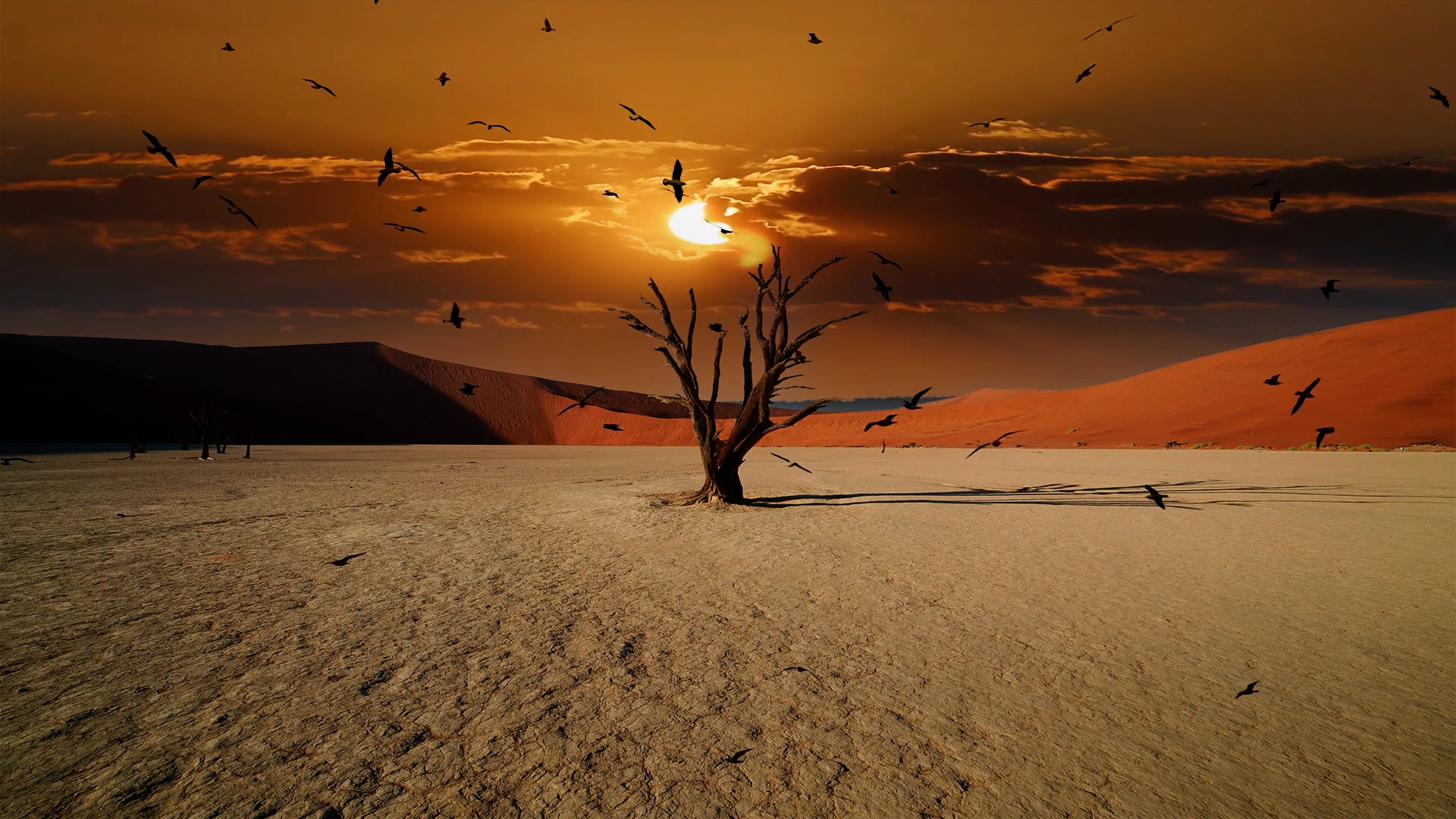 sunset — free pixabay stock footage