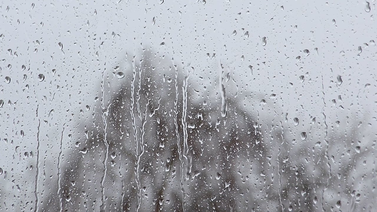 1,000 + 무료 비 & 자연 동영상, HD & 4K 영상 - Pixabay