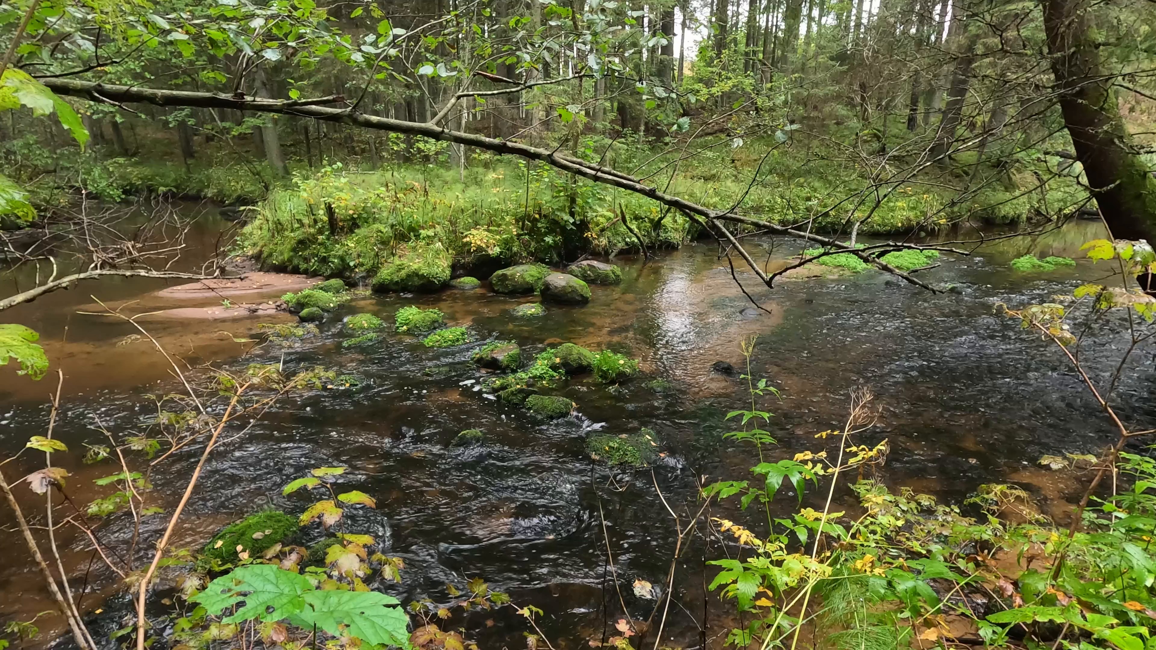 river — free pixabay stock footage