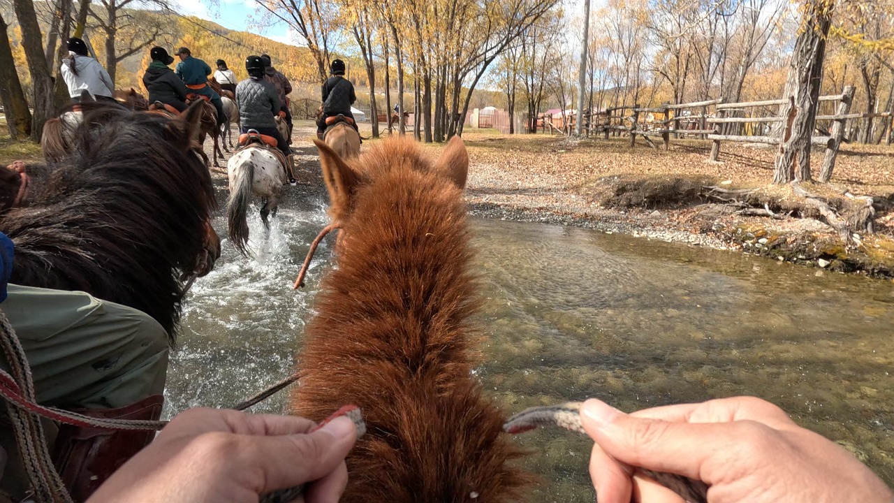 Horseriding, Words, Valley. Free Stock Video - Pixabay