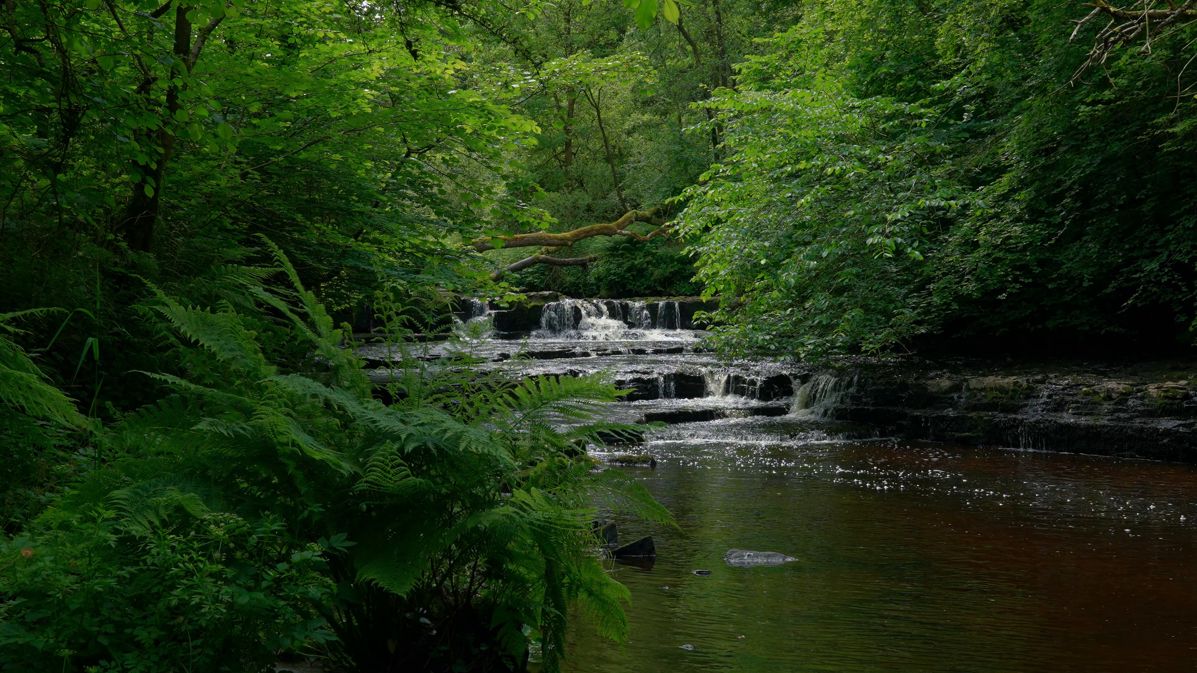 waterfalls — free pixabay stock footage