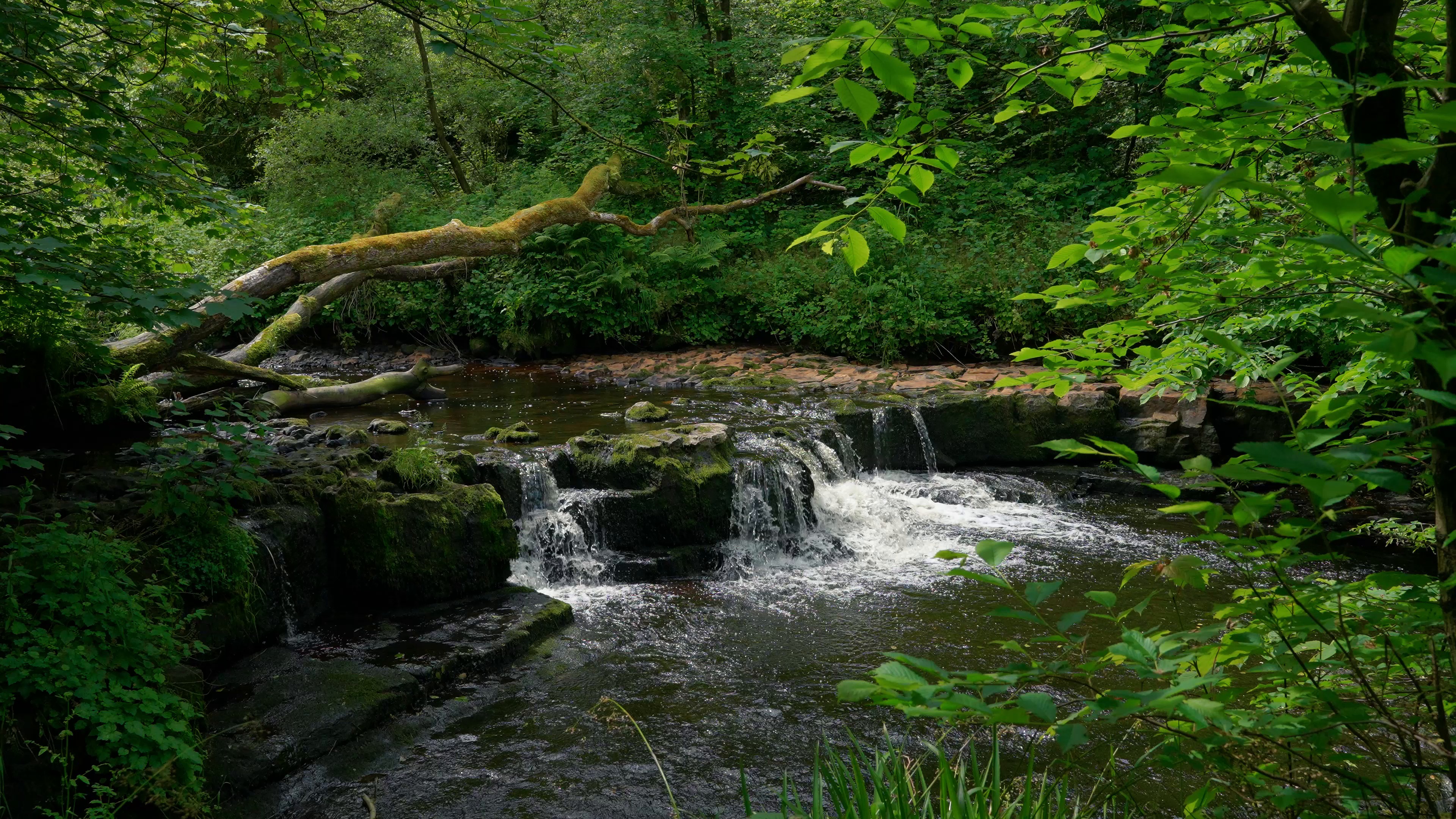 waterfall — free pixabay stock footage