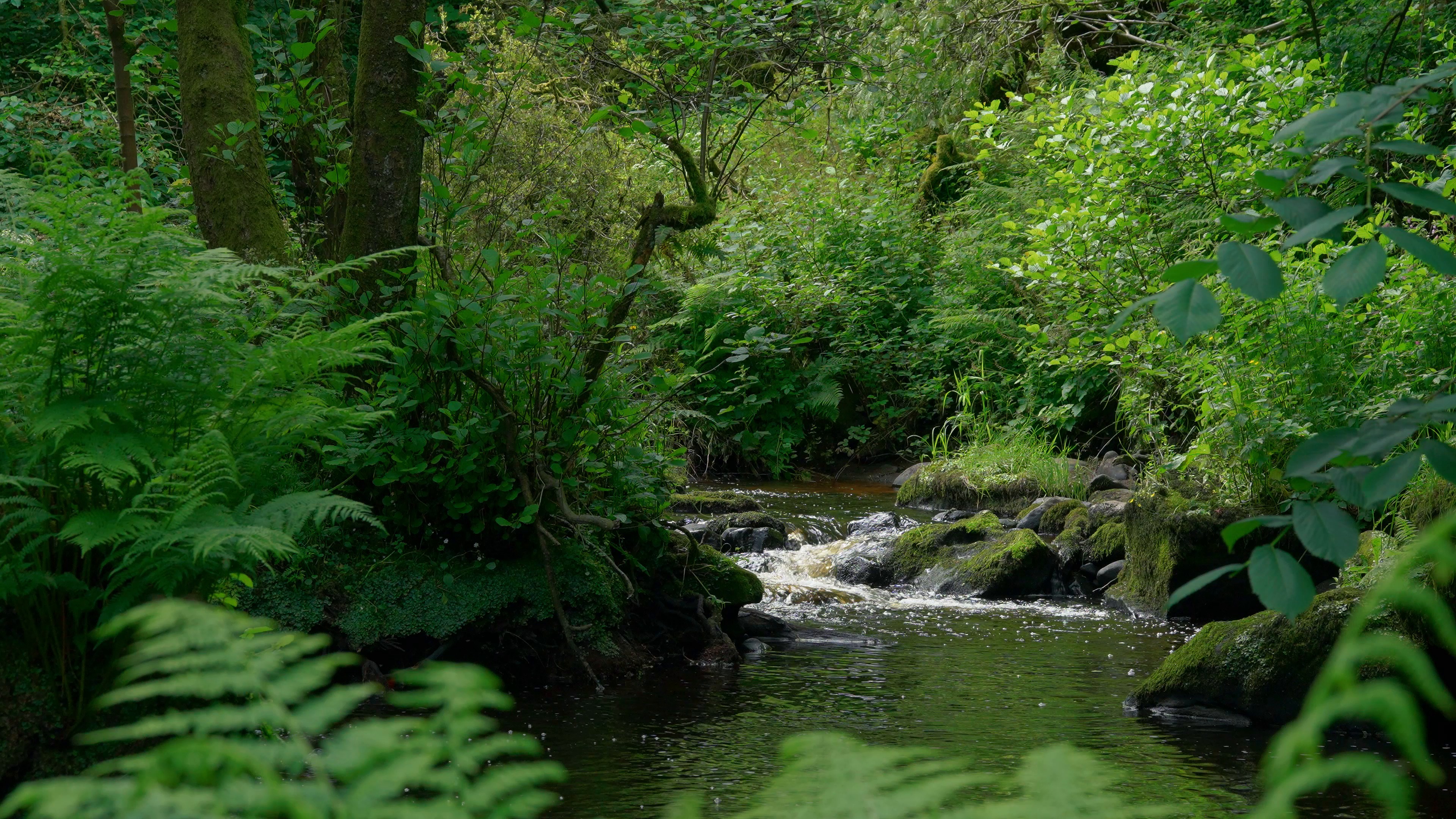 stream — free pixabay stock footage