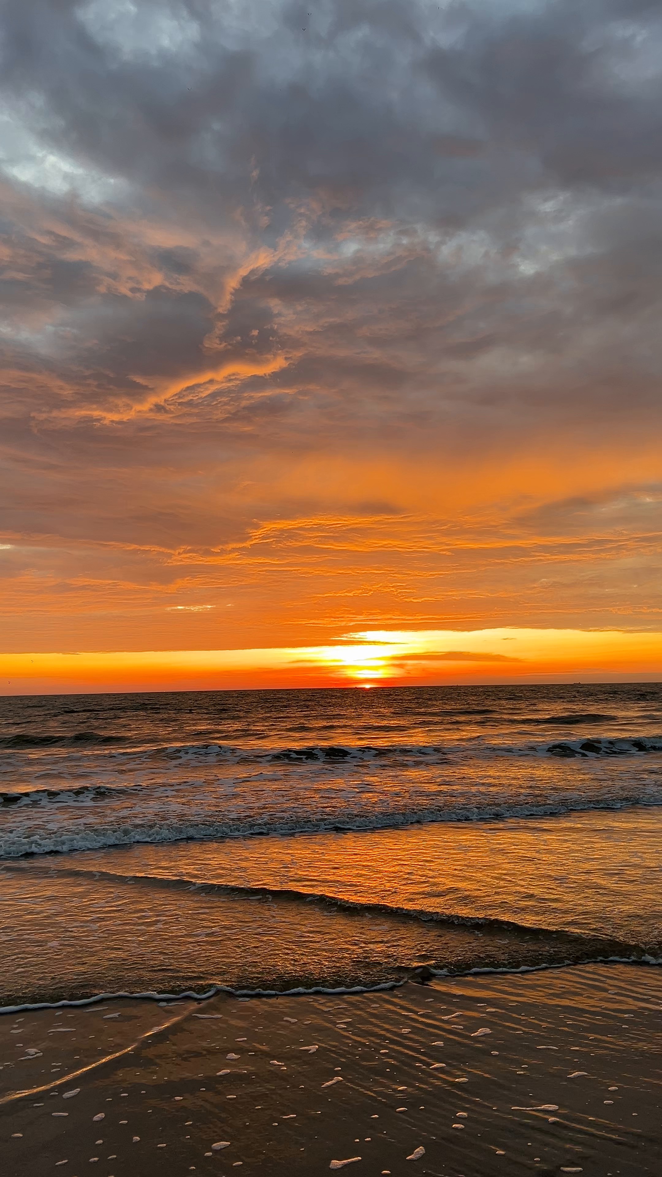 beach — free pixabay stock footage