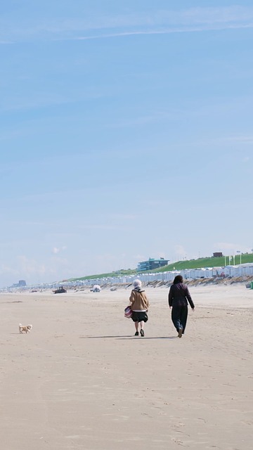 beach, pet, coast, zandvoort, netherlands, holland, dutch, houses, sand, people, sea, animal, dog