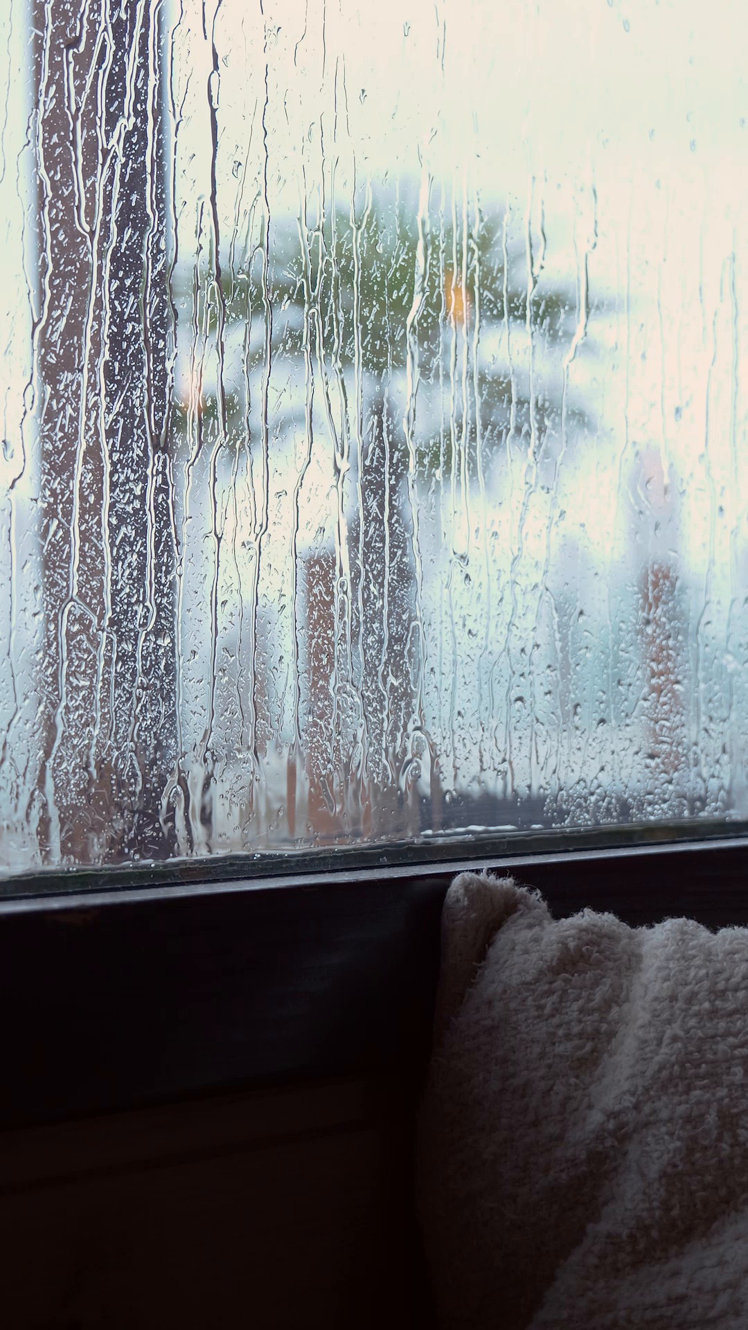 window