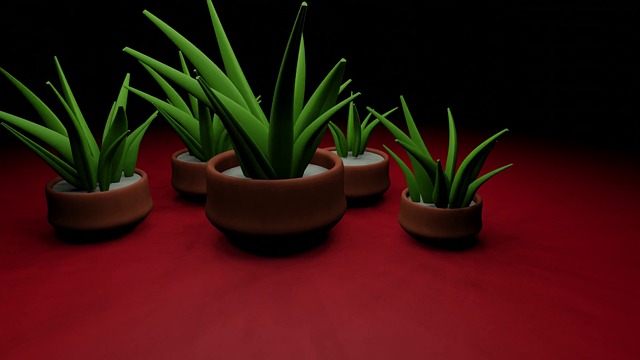 Aloe Vera, Plant, Leaves