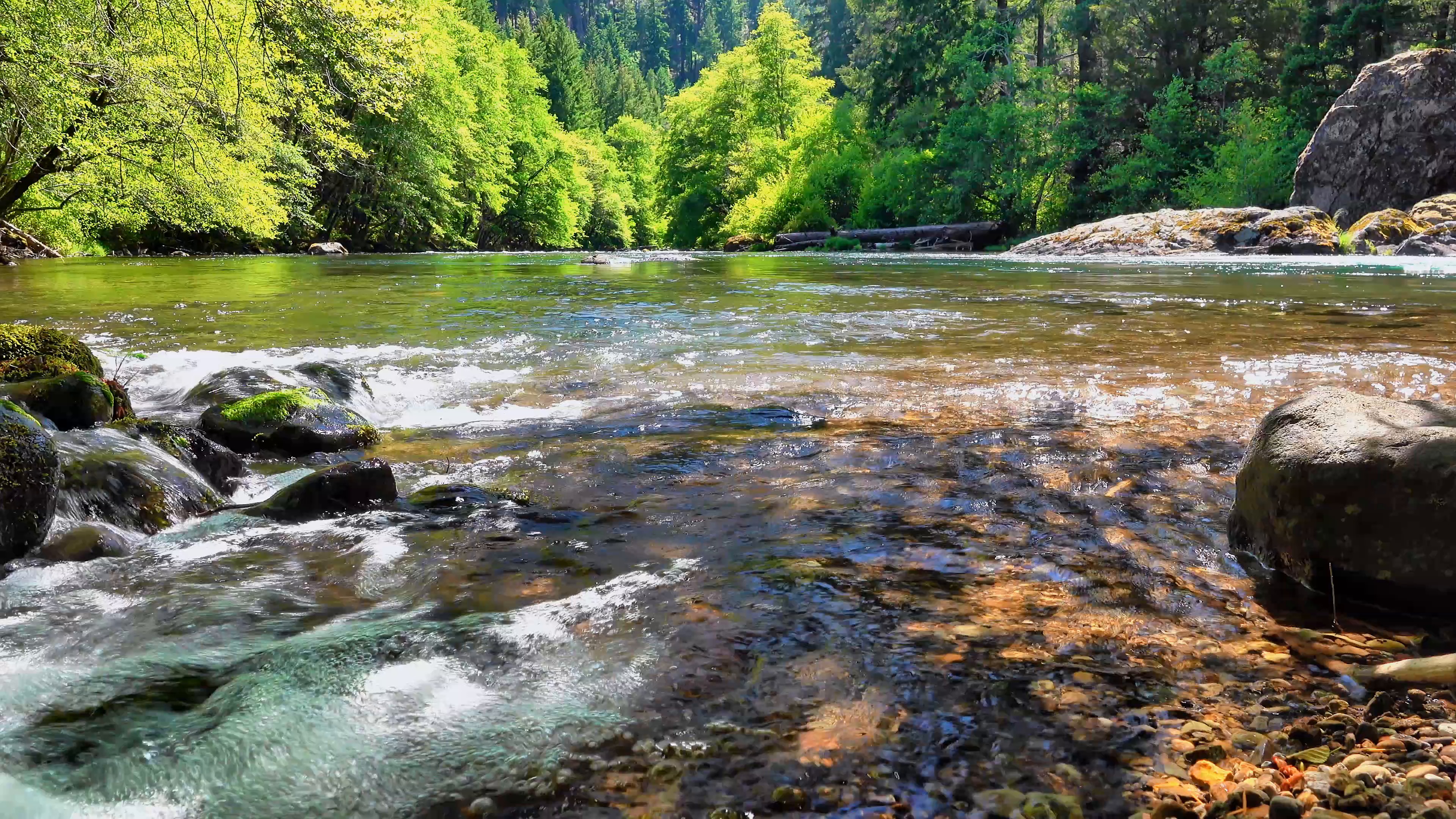 river — free pixabay stock footage