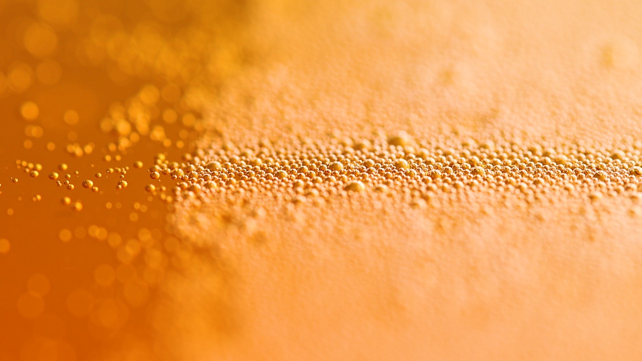 90+ kostenlose Bier Zapfen und Bier-Videos, HD &amp; 4K Clips - Pixabay