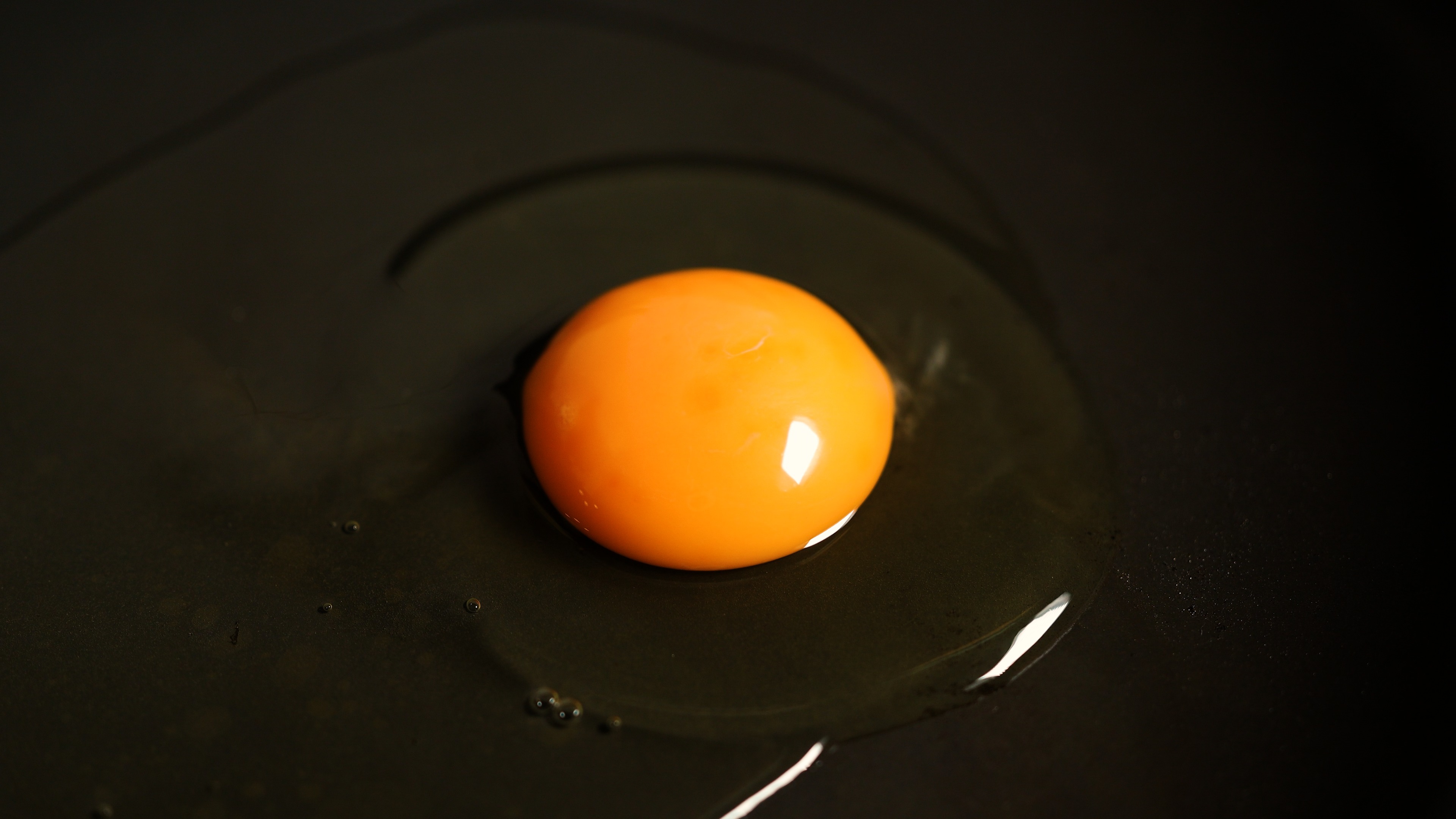 Egg Pan Fat Egg Yolk