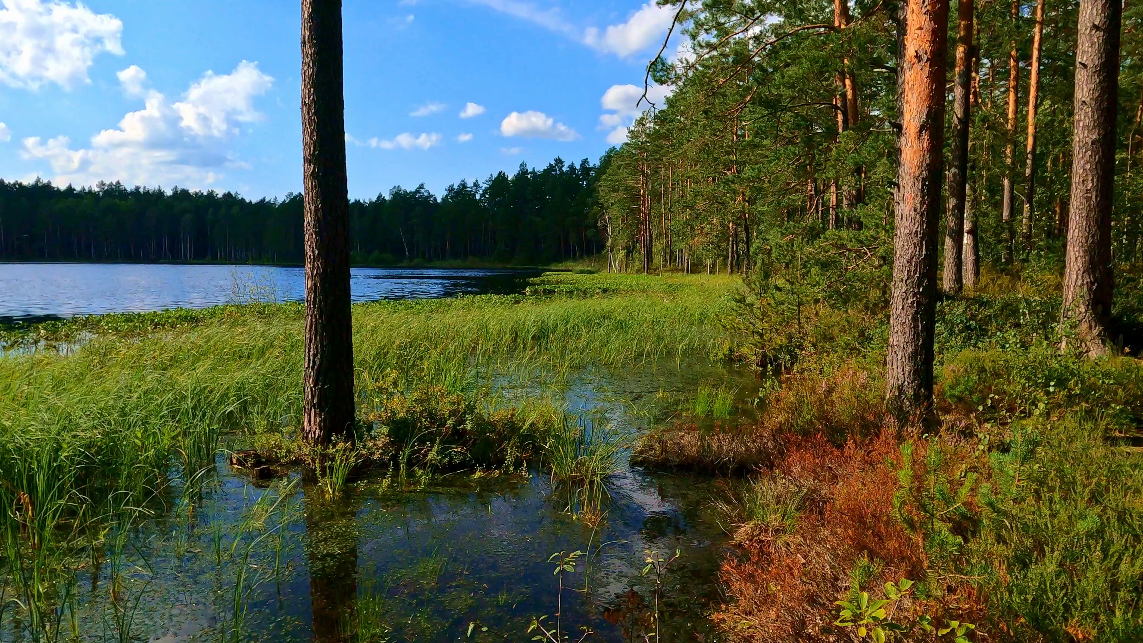 lake