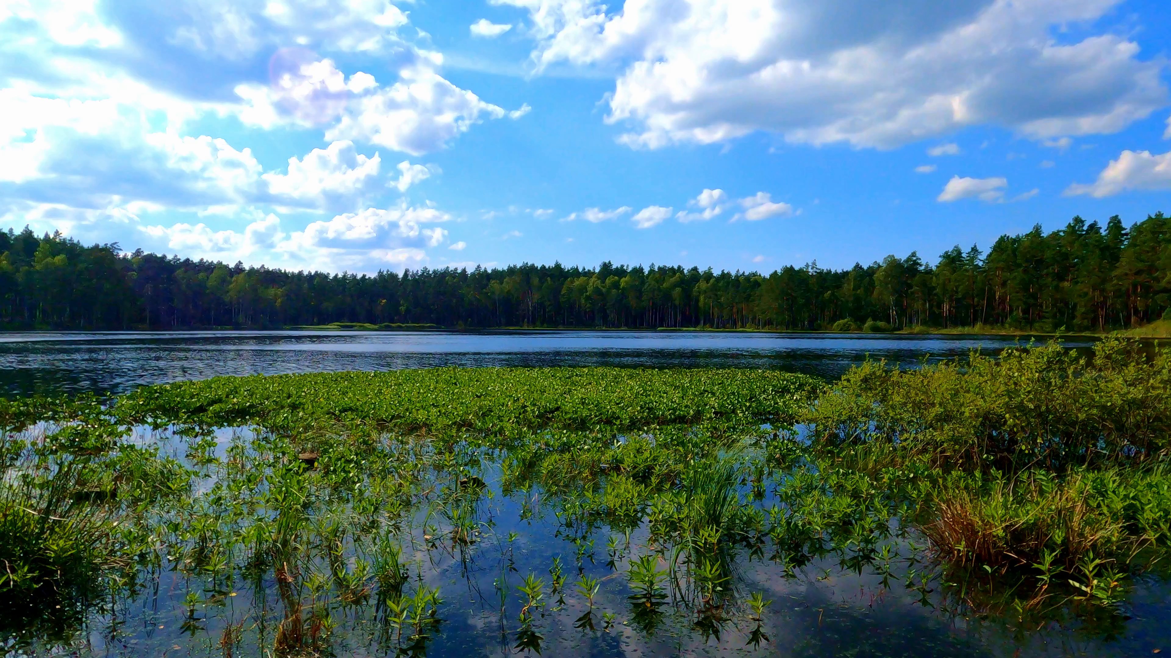 lake