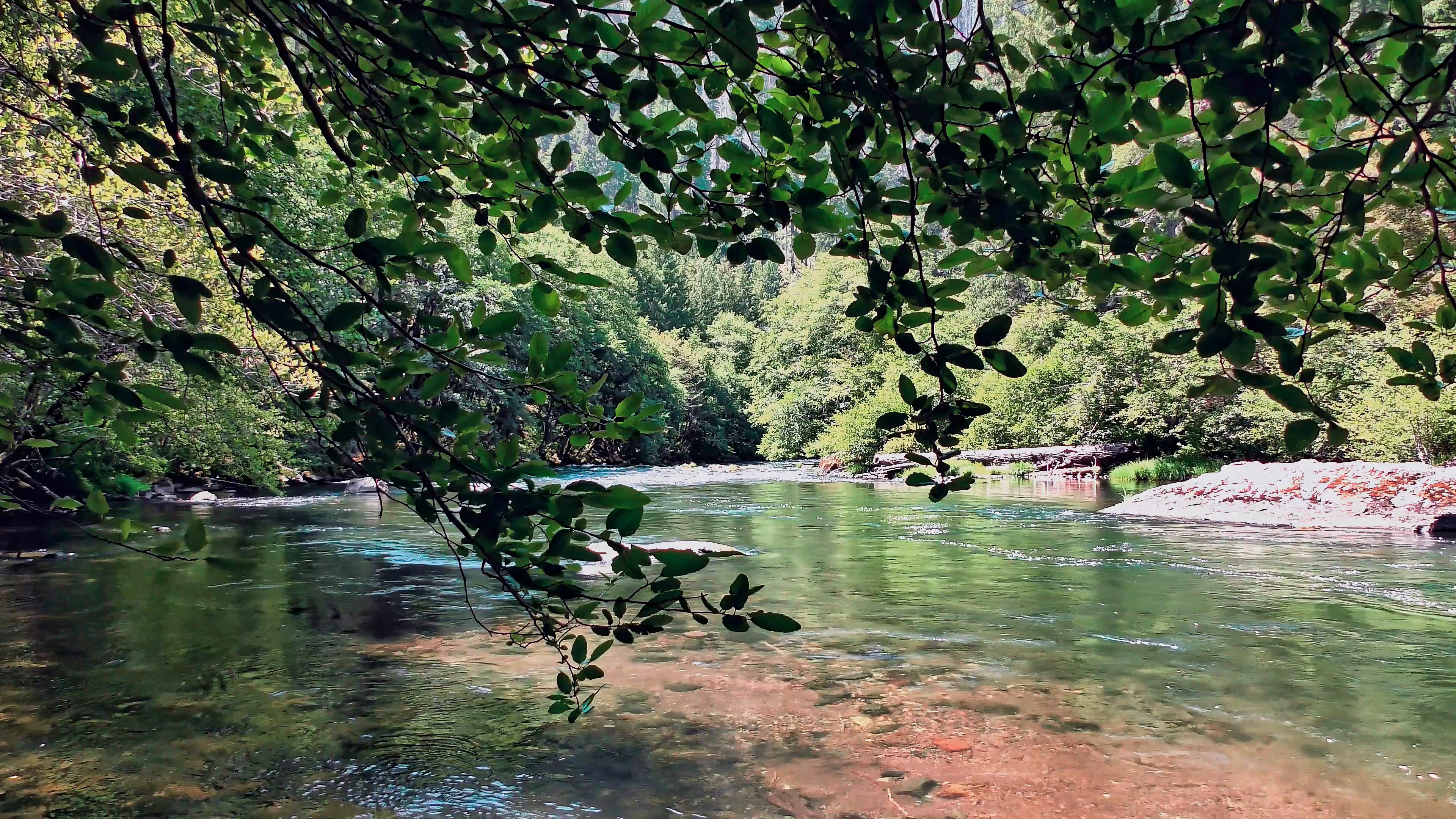 river — free pixabay stock footage