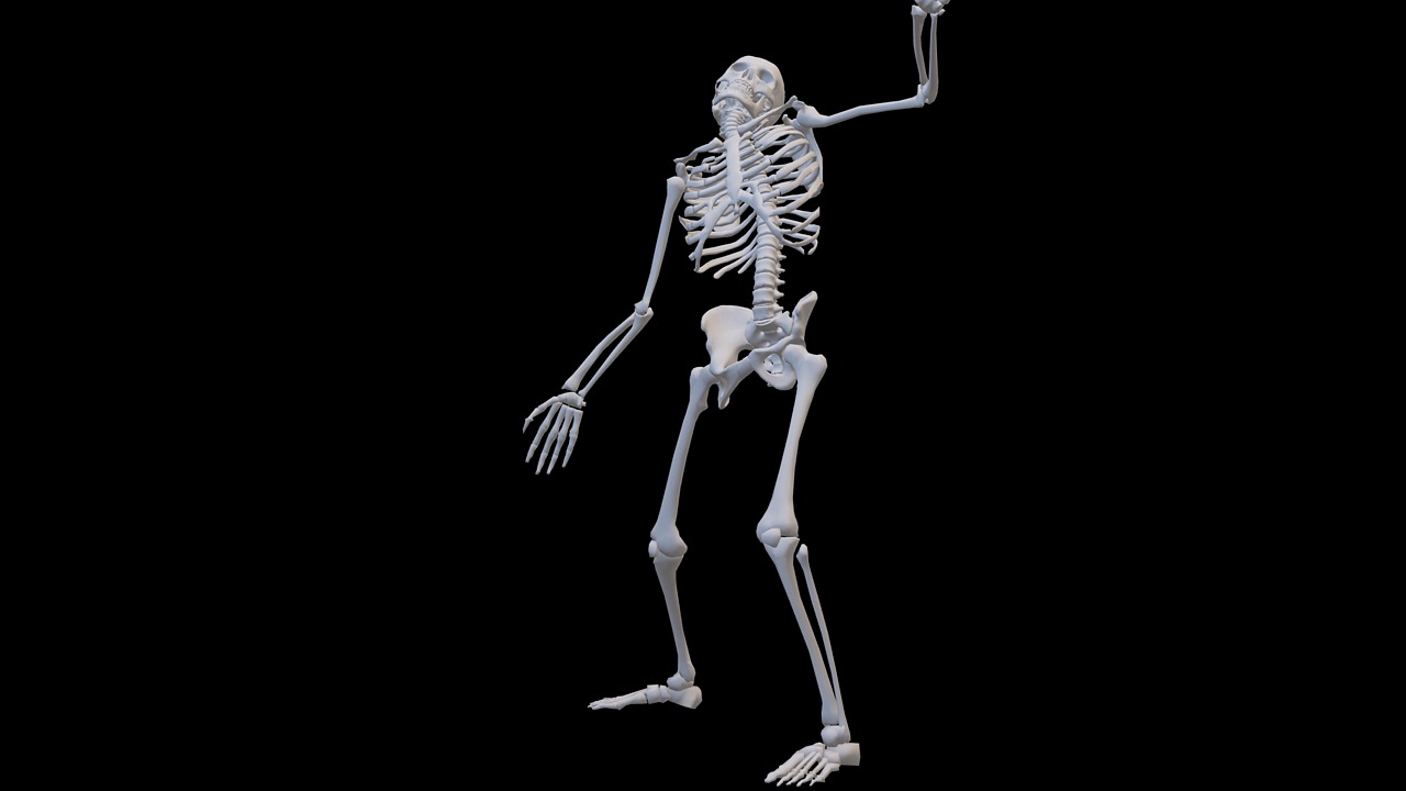 Sivu 2 - 100+ ilmaista Skeleton & Luuranko videota sekä HD- ja 4K ...