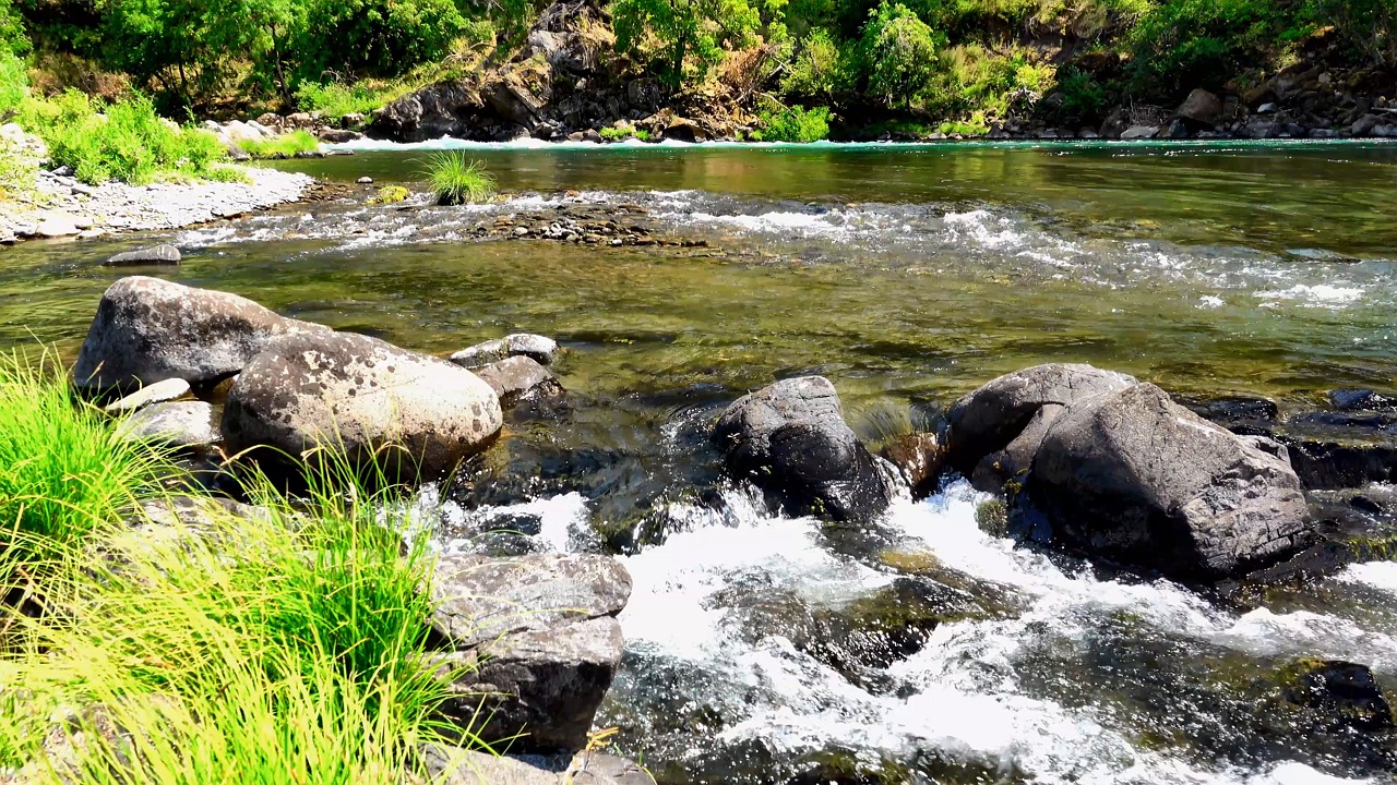 20 Rivers River, Water, Green. Free Stock Video - Pixabay
