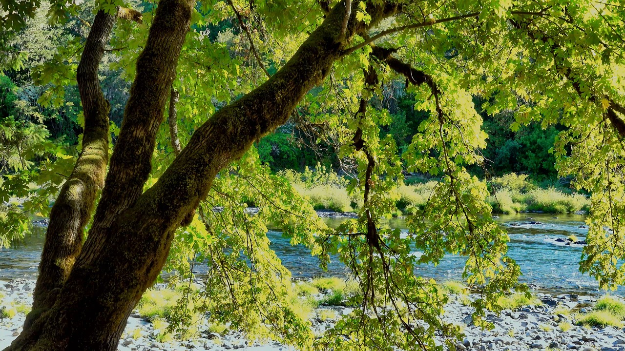 Sound Of Flowing River Videos Download