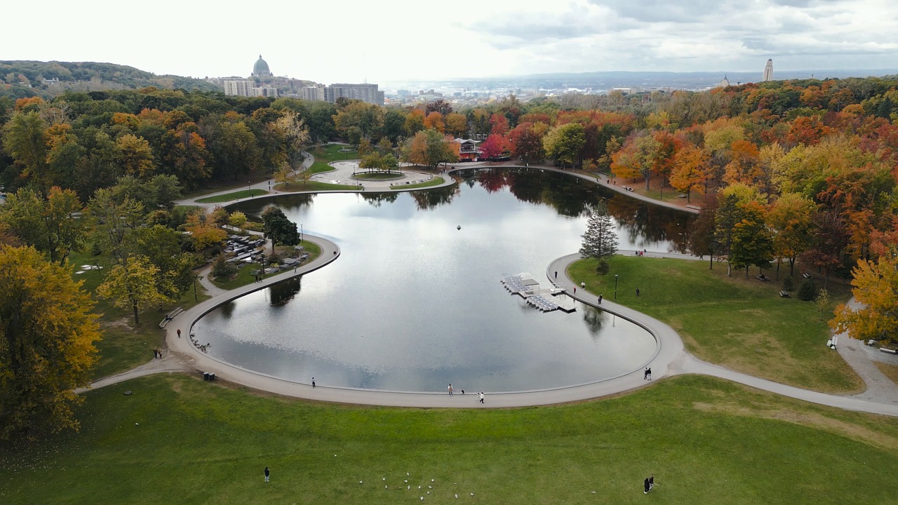 Park Autumn Fall Free Stock Video Pixabay Park autumn fall free stock video pixabay