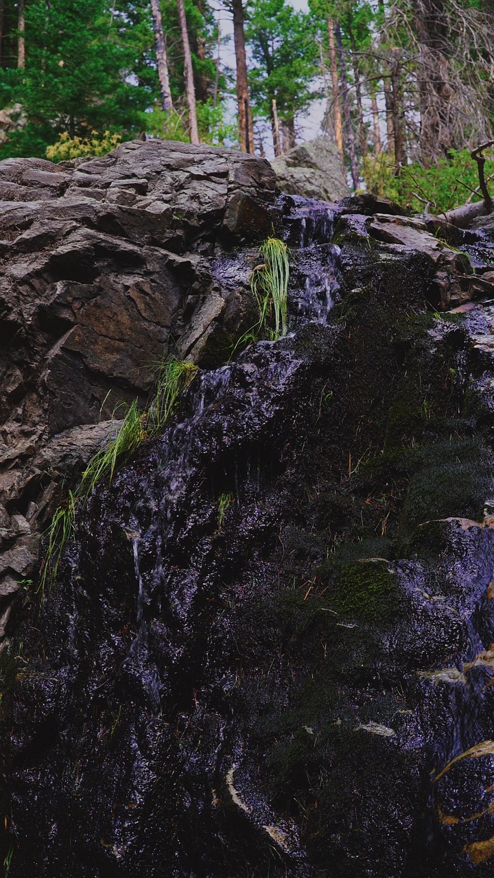 Cachoeira Ribeiro Rio - Free video on Pixabay