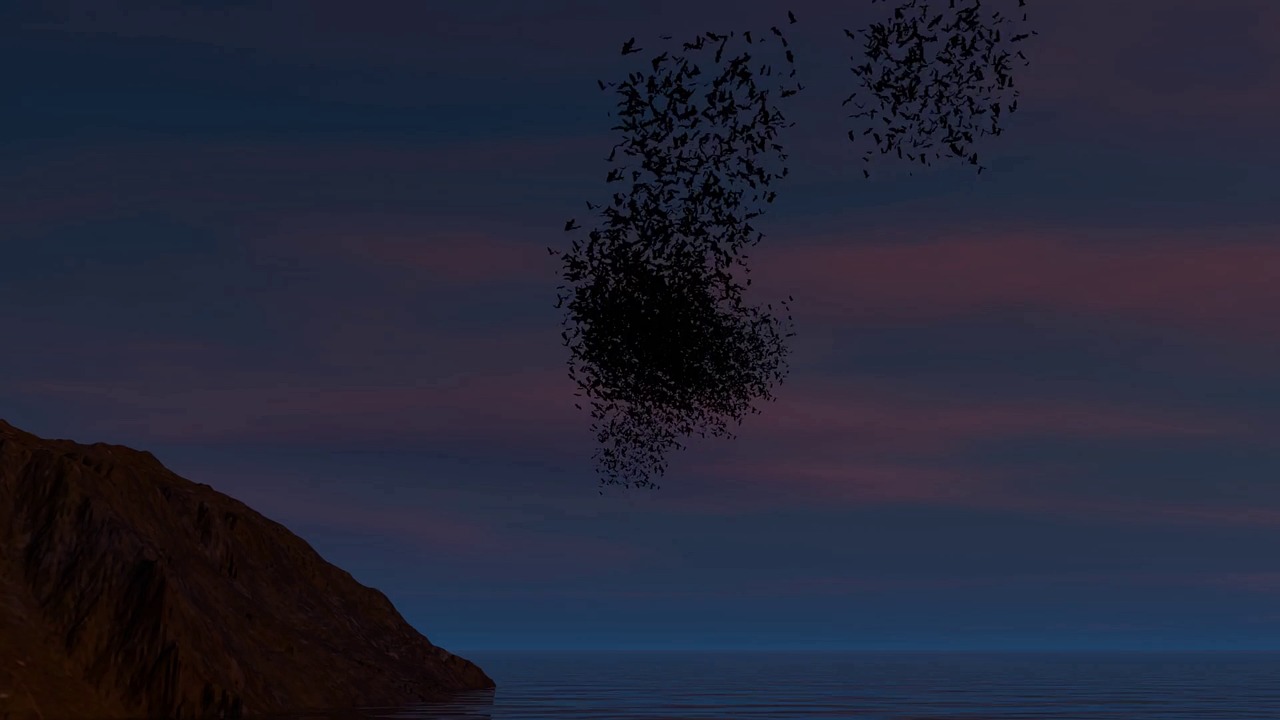 Birds, Wildlife, Swarm. Free Stock Video - Pixabay