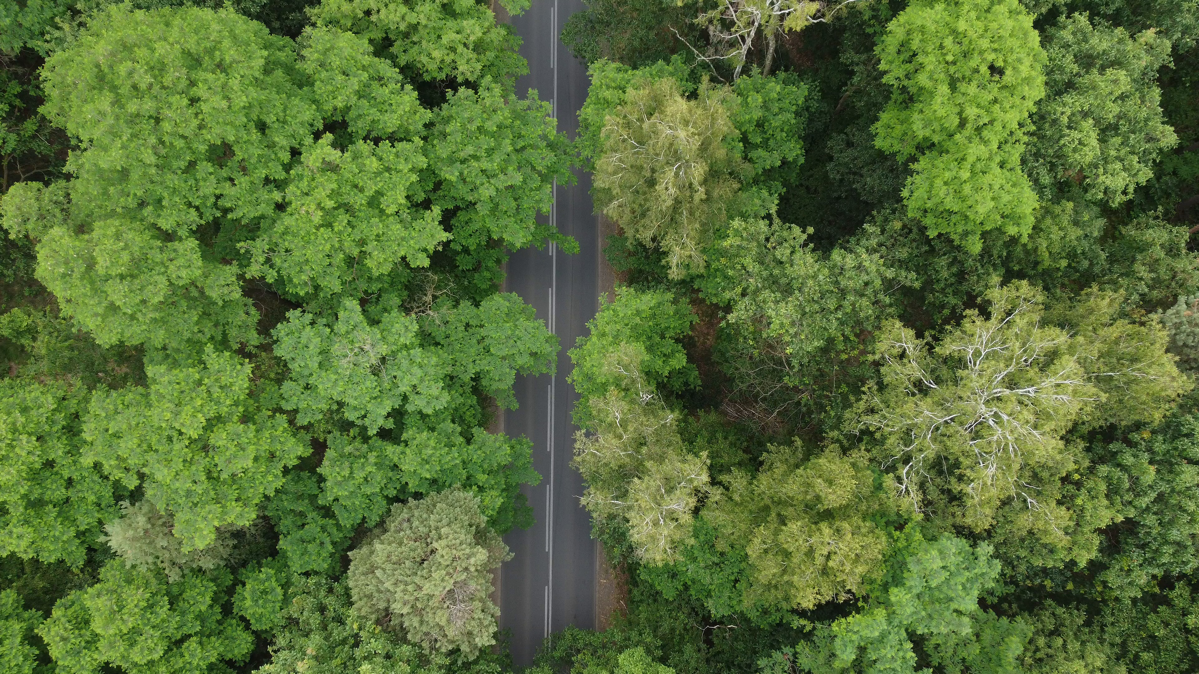 road