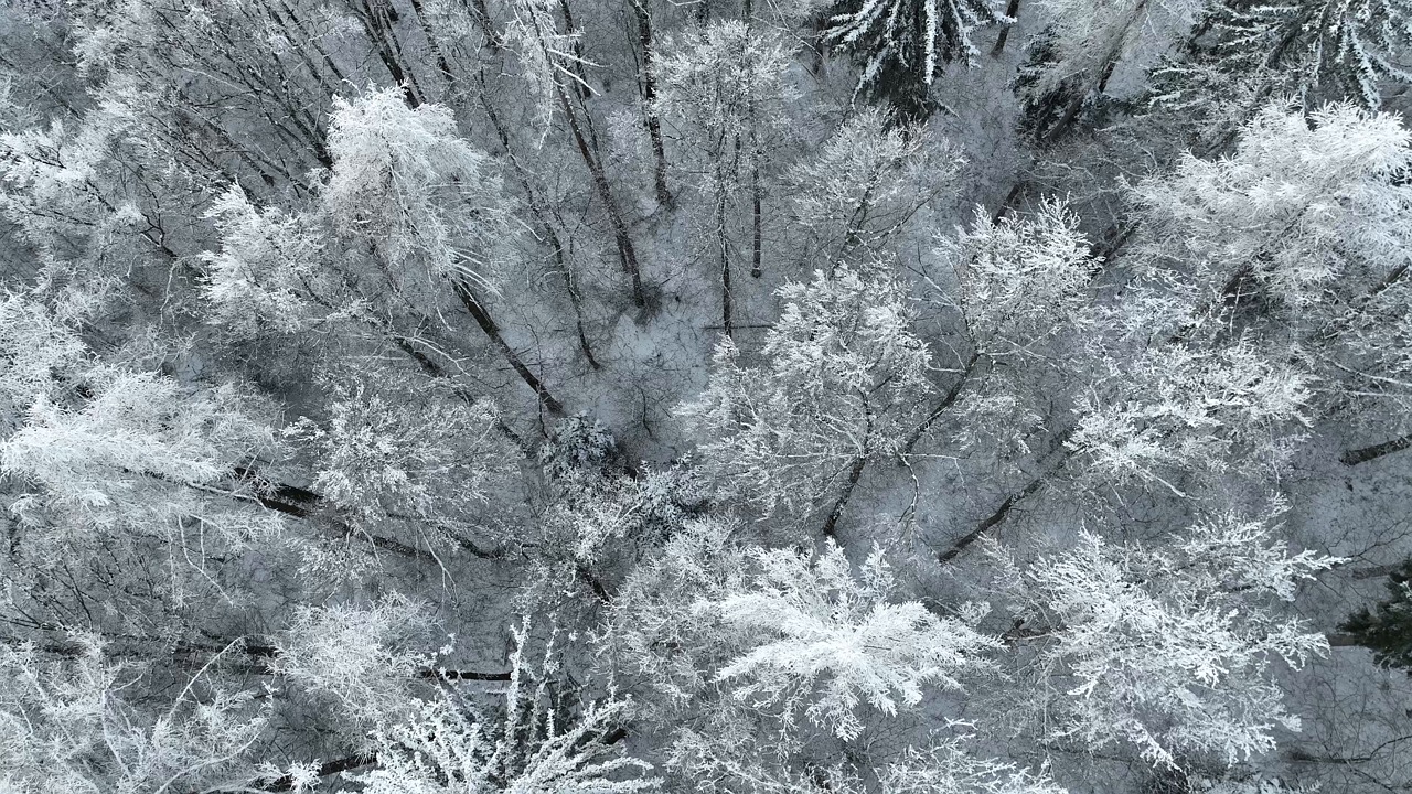 冬天 雪 冰 - Free video on Pixabay