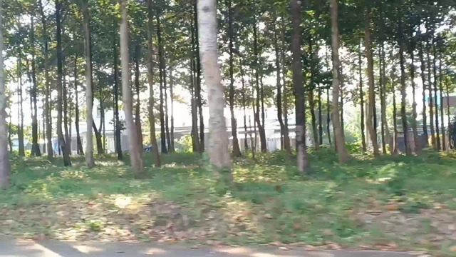 Straight Nature Road Free Stock Video Pixabay