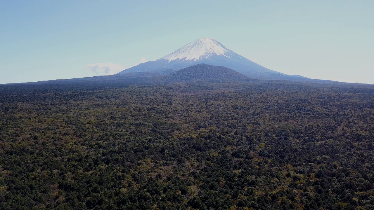 青木原树海 自然 富士山 - Free video on Pixabay