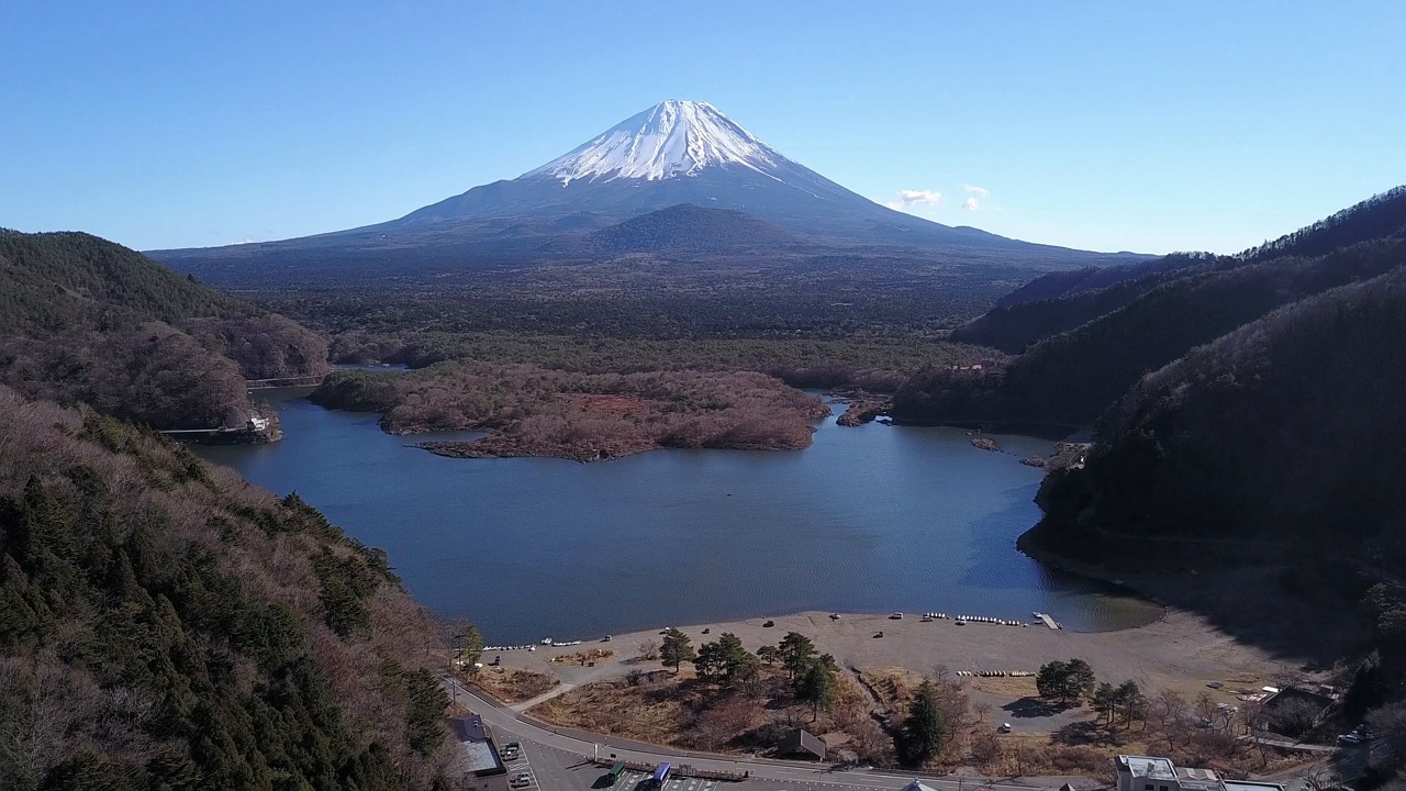 青木原树海 自然 富士山 - Free video on Pixabay