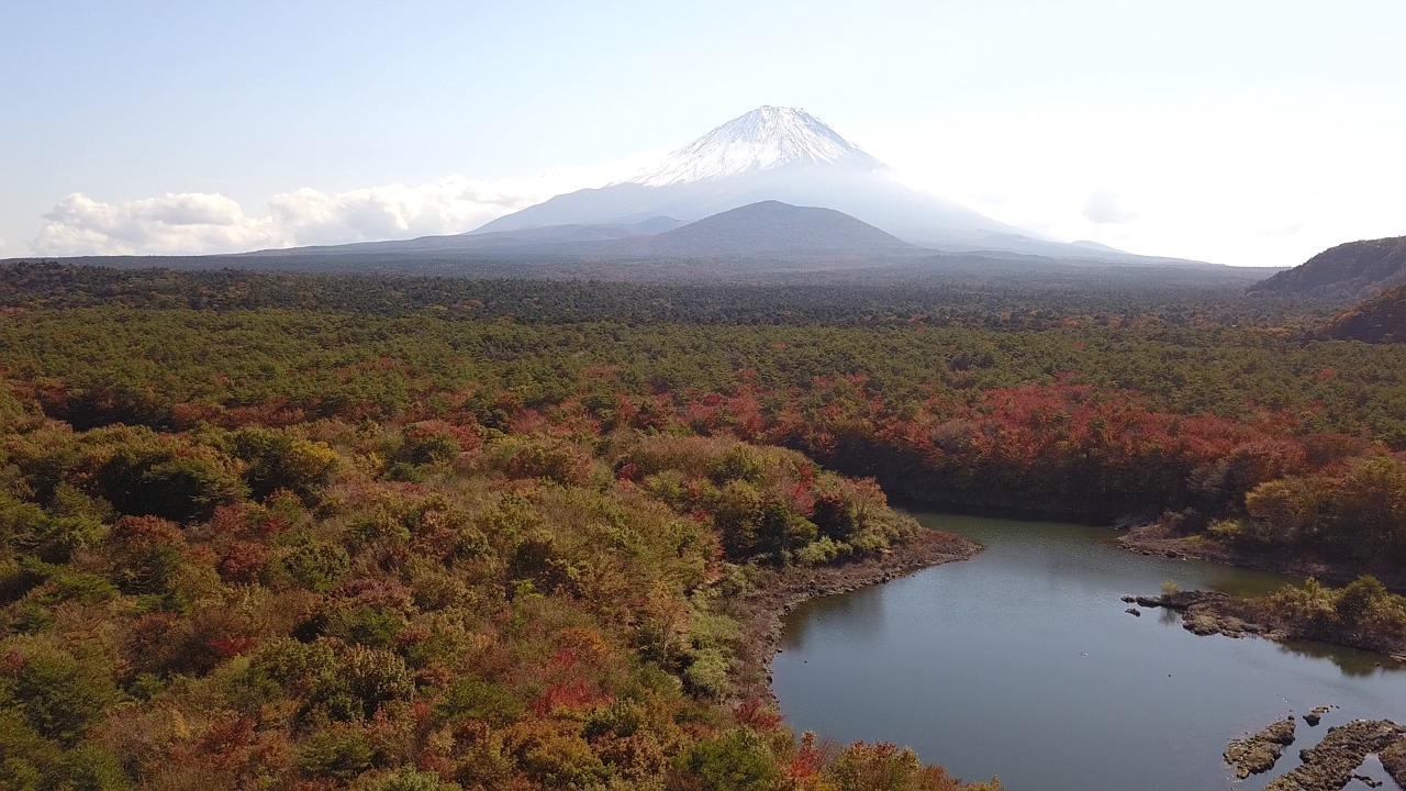 超过 4000 个关于“Japanese Tourism”和“旅游”的免费视频、高清及 4K 视频片段 - Pixabay