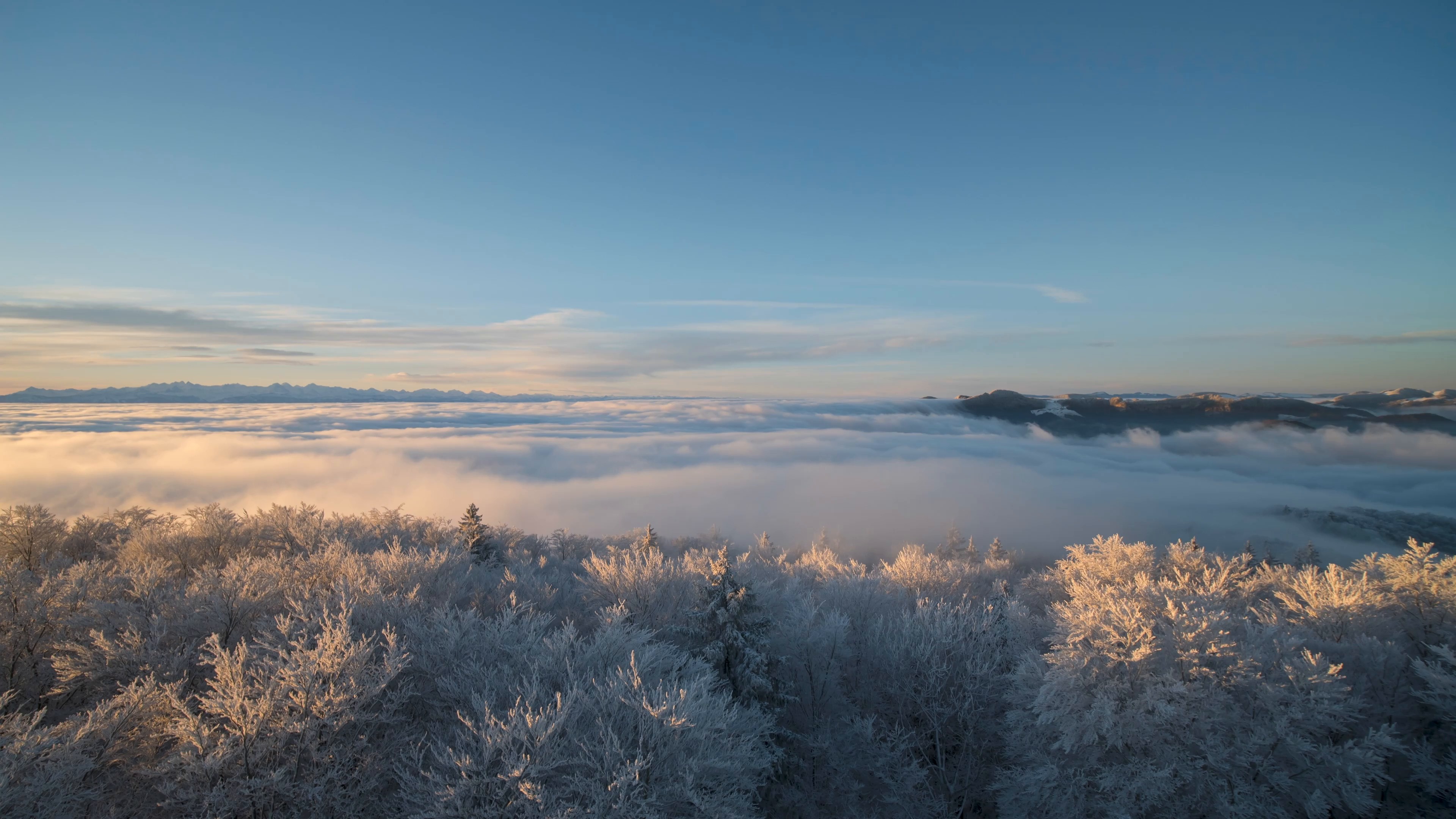 winter — free pixabay stock footage