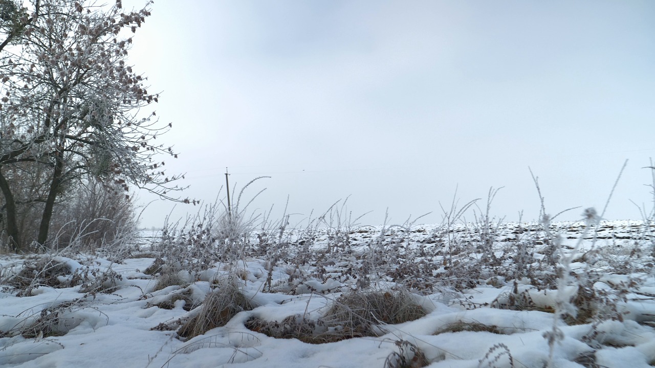 冬天 雪 冰 - Free video on Pixabay