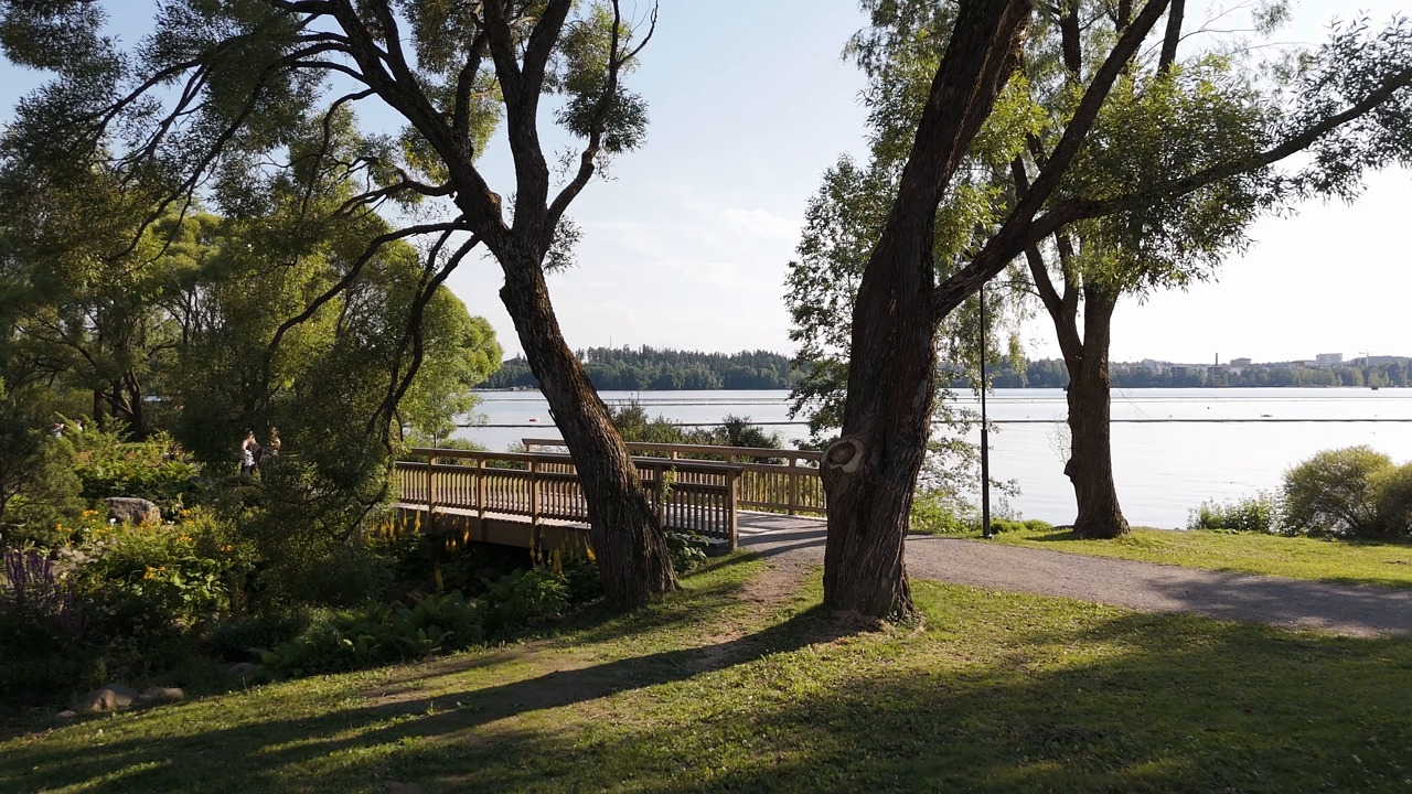 trees, lake, drone footage, garden, nature, spring, flowers, summer, park, gardening, green, landscape, plants, ground, finland, tampere, relax, 4k footage