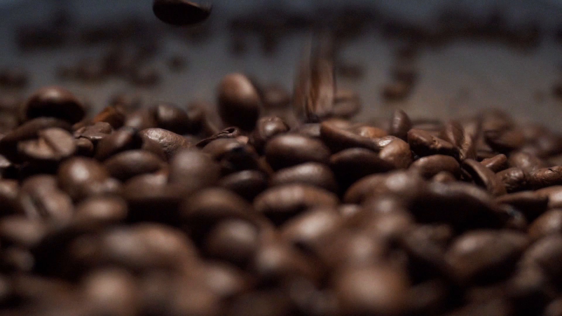 coffee — free pixabay stock footage