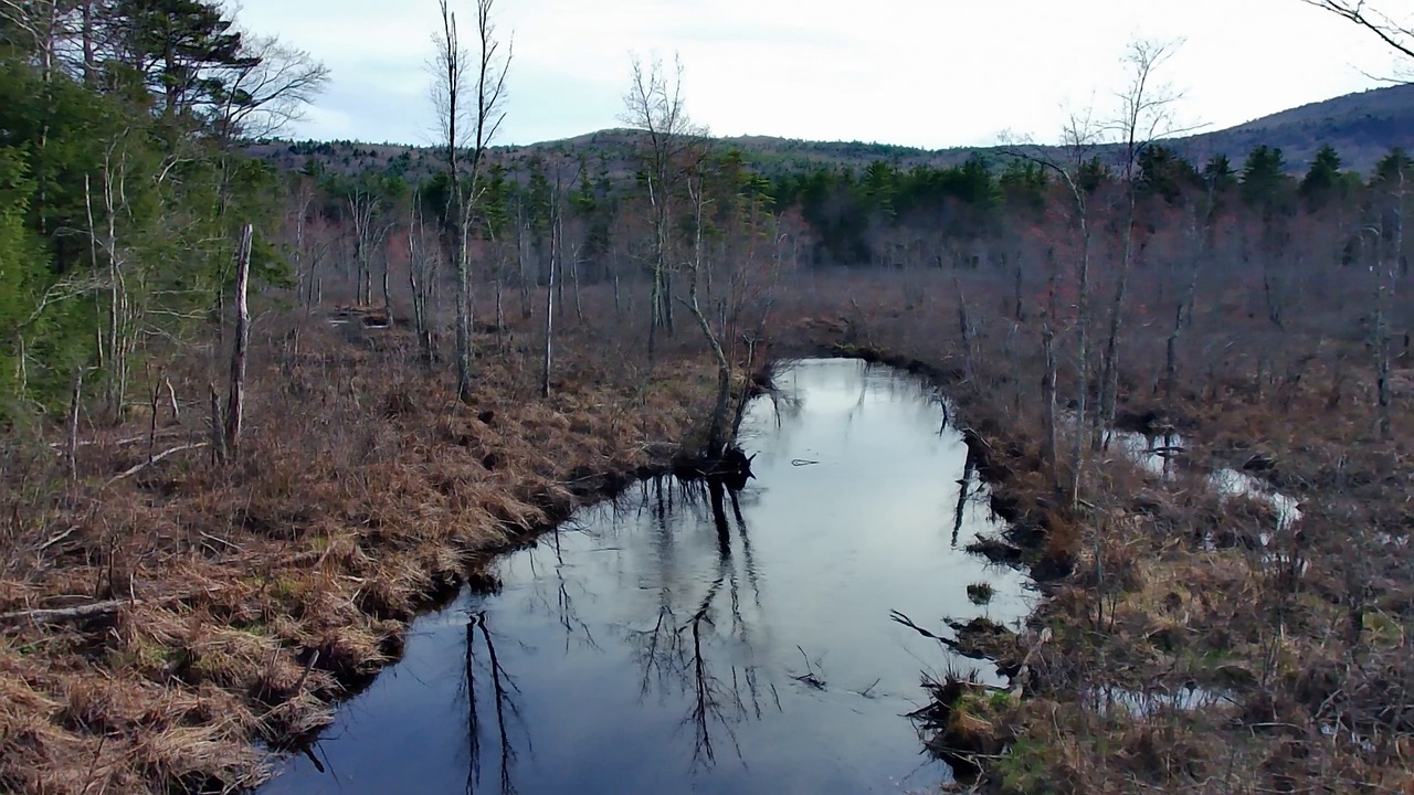 Swamp Stream Drone, Swamp, River. Free Stock Video - Pixabay