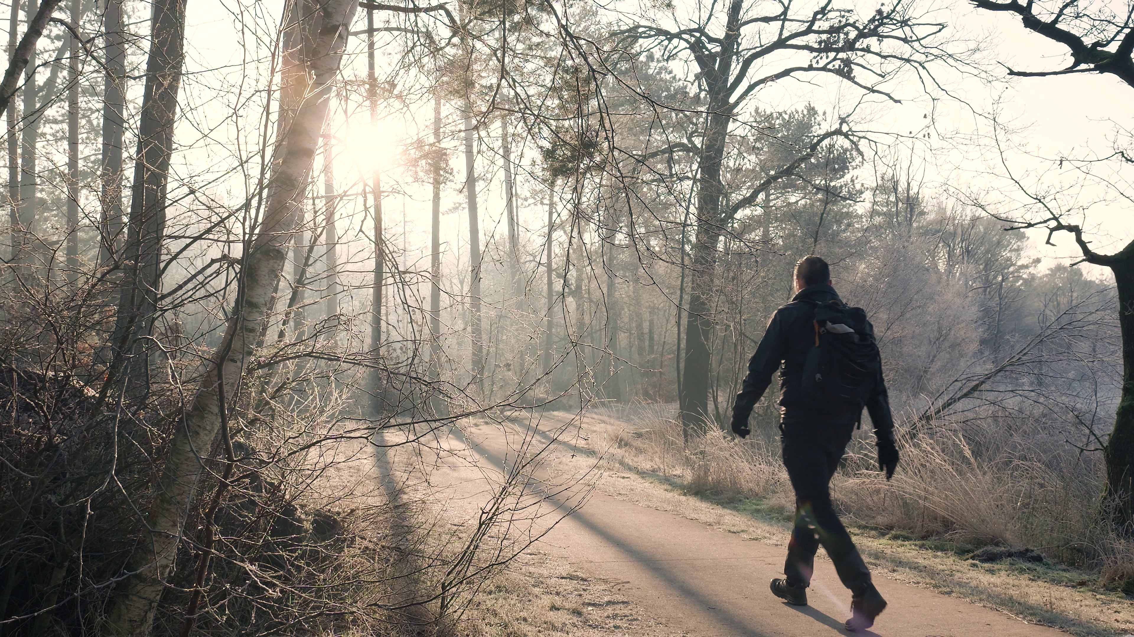 hiking — free pixabay stock footage