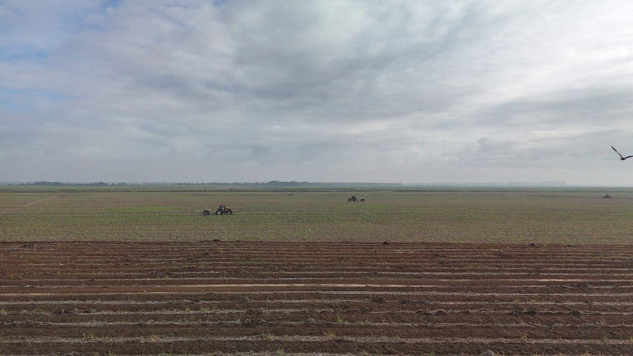 tractor, agriculture, plantation, harvest, holy spirit, agribusiness, plow, cultivation, planting, agricultural, rural, economy, economic sector, merchandise, forest, pasture, nature, field, plant, rural landscape, panorama, agricultural production, industry, linear