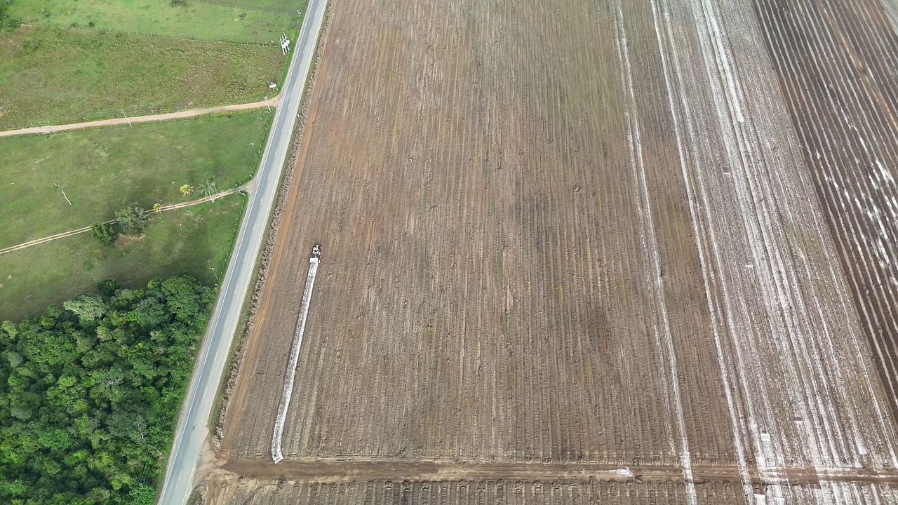 tractor, agriculture, plantation, harvest, holy spirit, agribusiness, plow, cultivation, planting, agricultural, rural, economy, economic sector, merchandise, forest, pasture, nature, field, plant, rural landscape, panorama, agricultural production, industry, linear