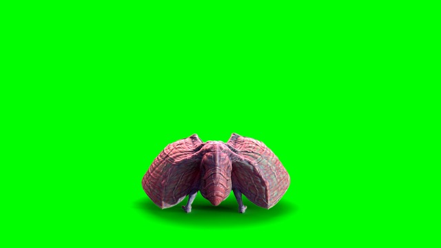 nightmare, creepy, halloween, monster, 3d, green, screen, fly, butterfly, horror