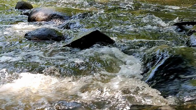 river, water, rushing, flowing, flow, rocks, stones, surface, fast, moving, outdoors, nature, background, backdrop, horizontal, current