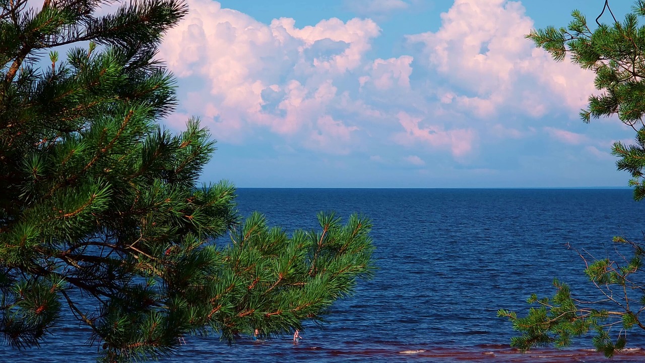 sea, seashore, coast, coastline, ocean, beach, shoreline, waves, surf, seaside, marine, maritime, saltwater, seascape, coastal, waterfront, horizon, sandy beach, tides, blue water, summer vacation, tranquil sea