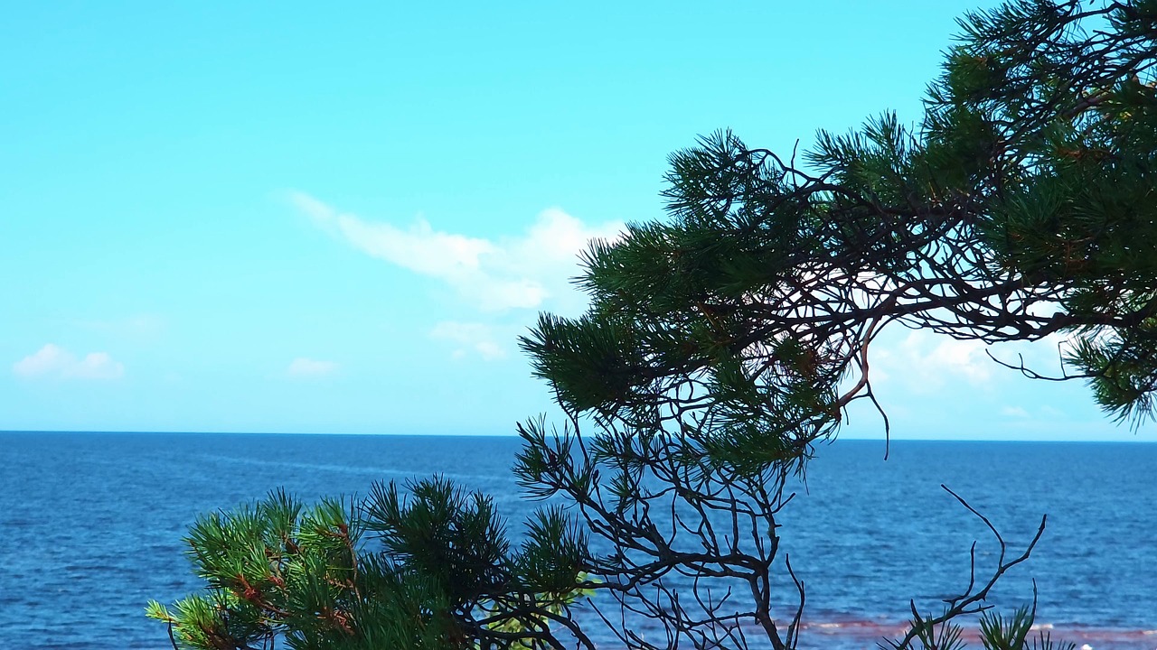 sea, seashore, coast, coastline, ocean, beach, shoreline, waves, surf, seaside, marine, maritime, saltwater, seascape, coastal, waterfront, horizon, sandy beach, tides, blue water, summer vacation, tranquil sea